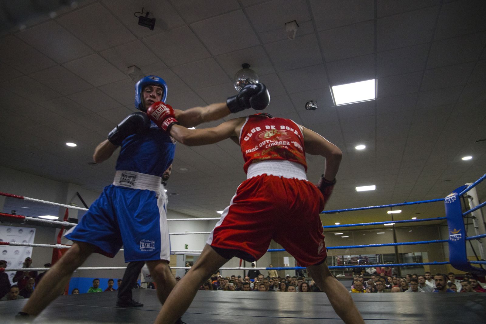 La cantera del boxeo granadino se luce en Armilla