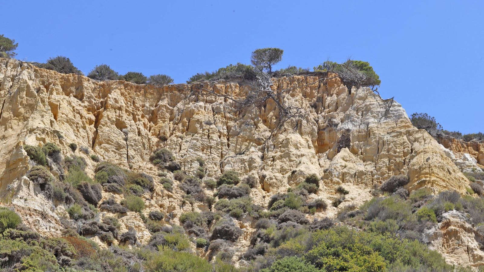 Monumento Natural Acantilado del Asperillo