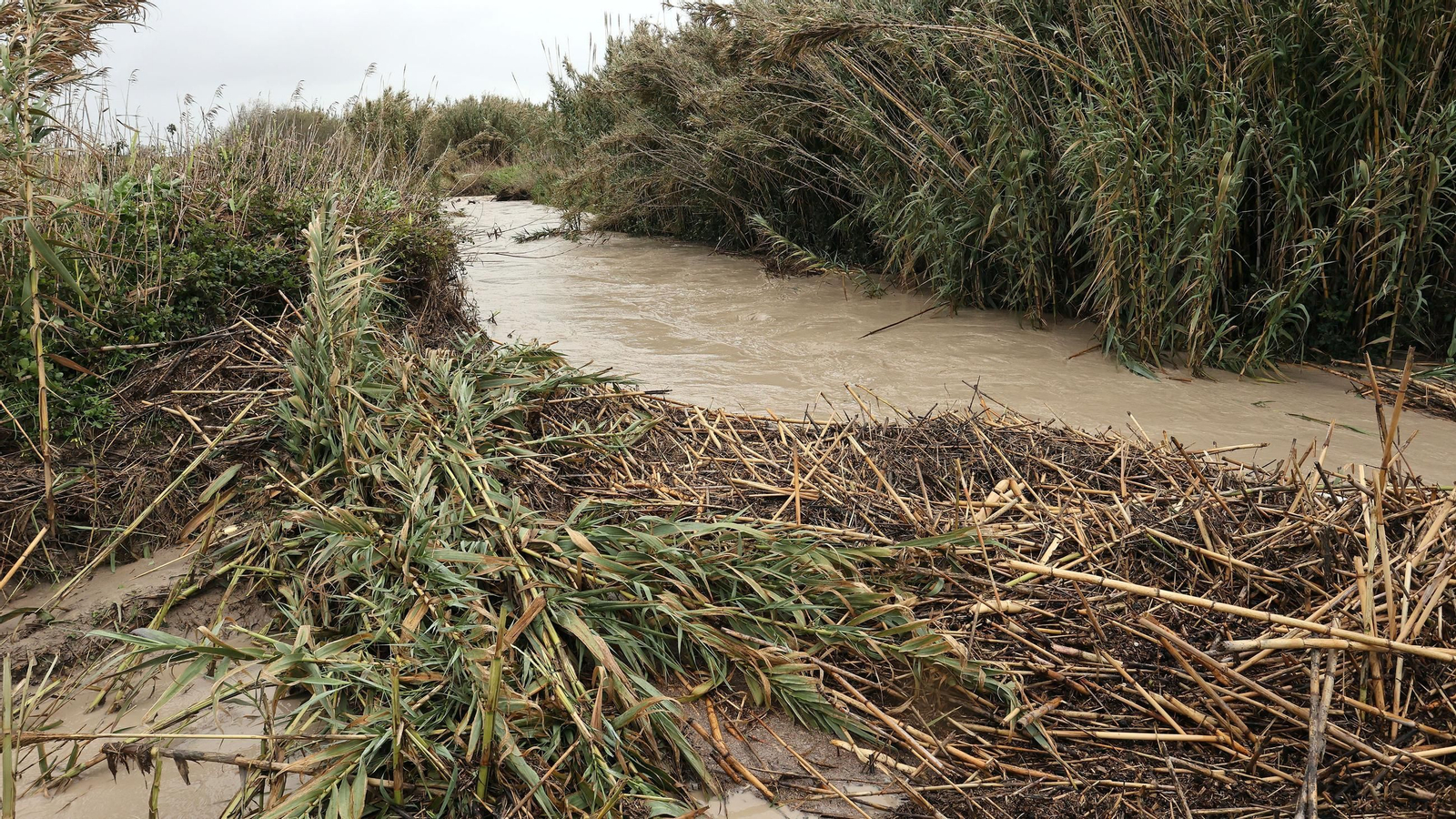 Imágenes del temporal de viento y lluvia en Jerez