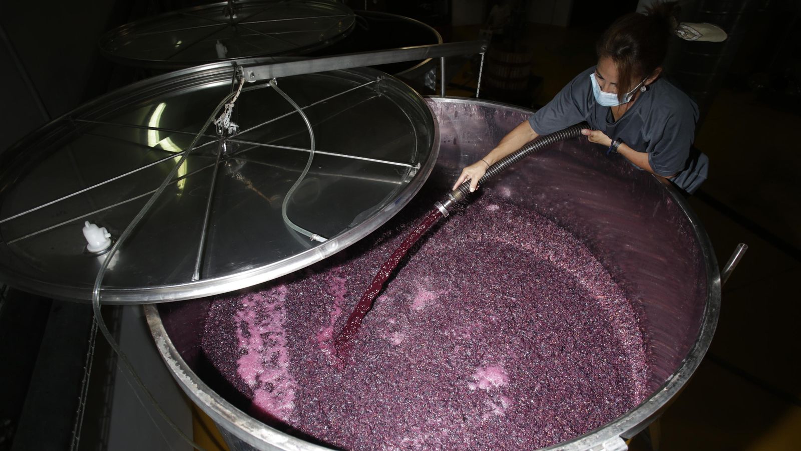 Trabajo de remontado del vino