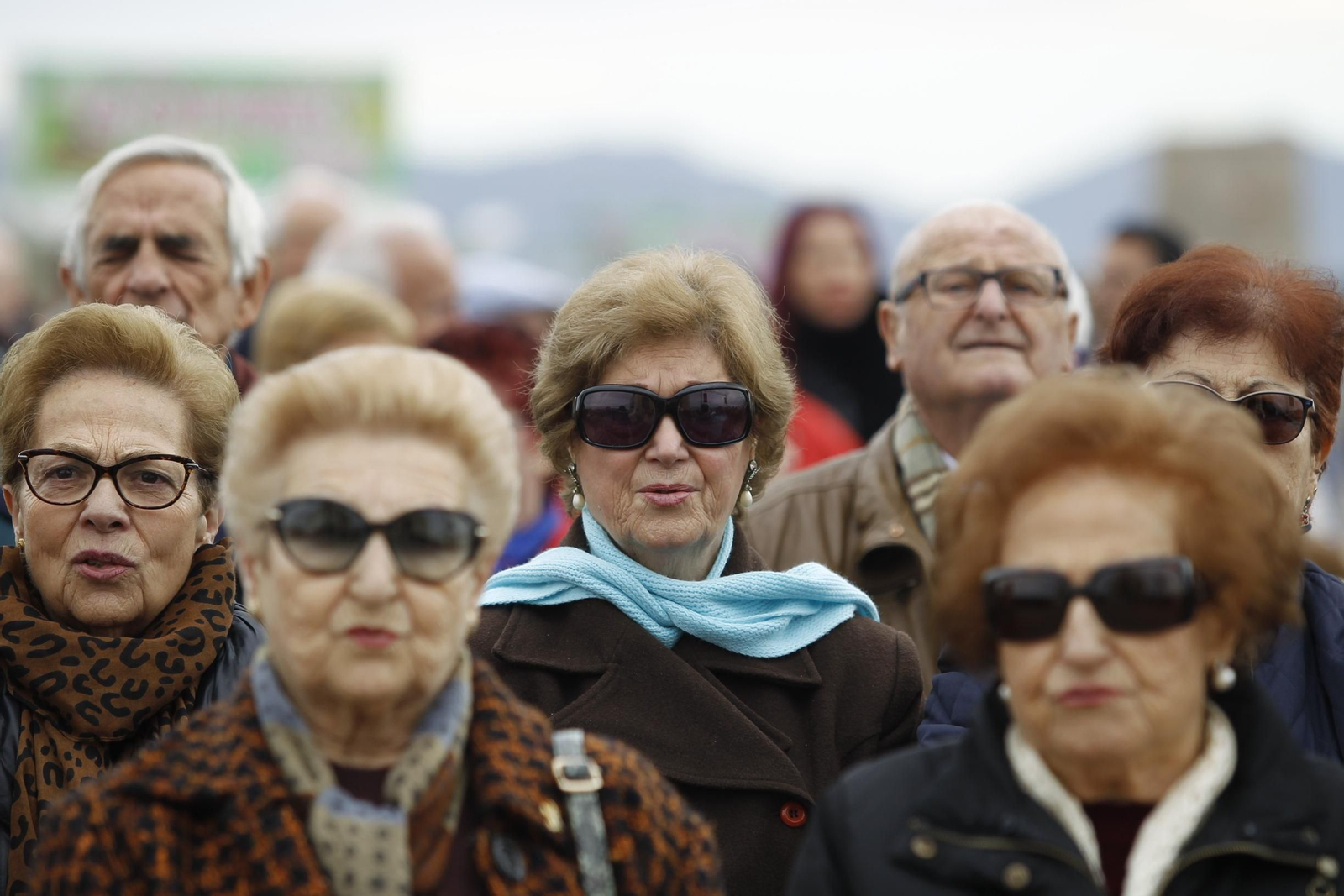 Las imágenes de la Romería de Torregarcía