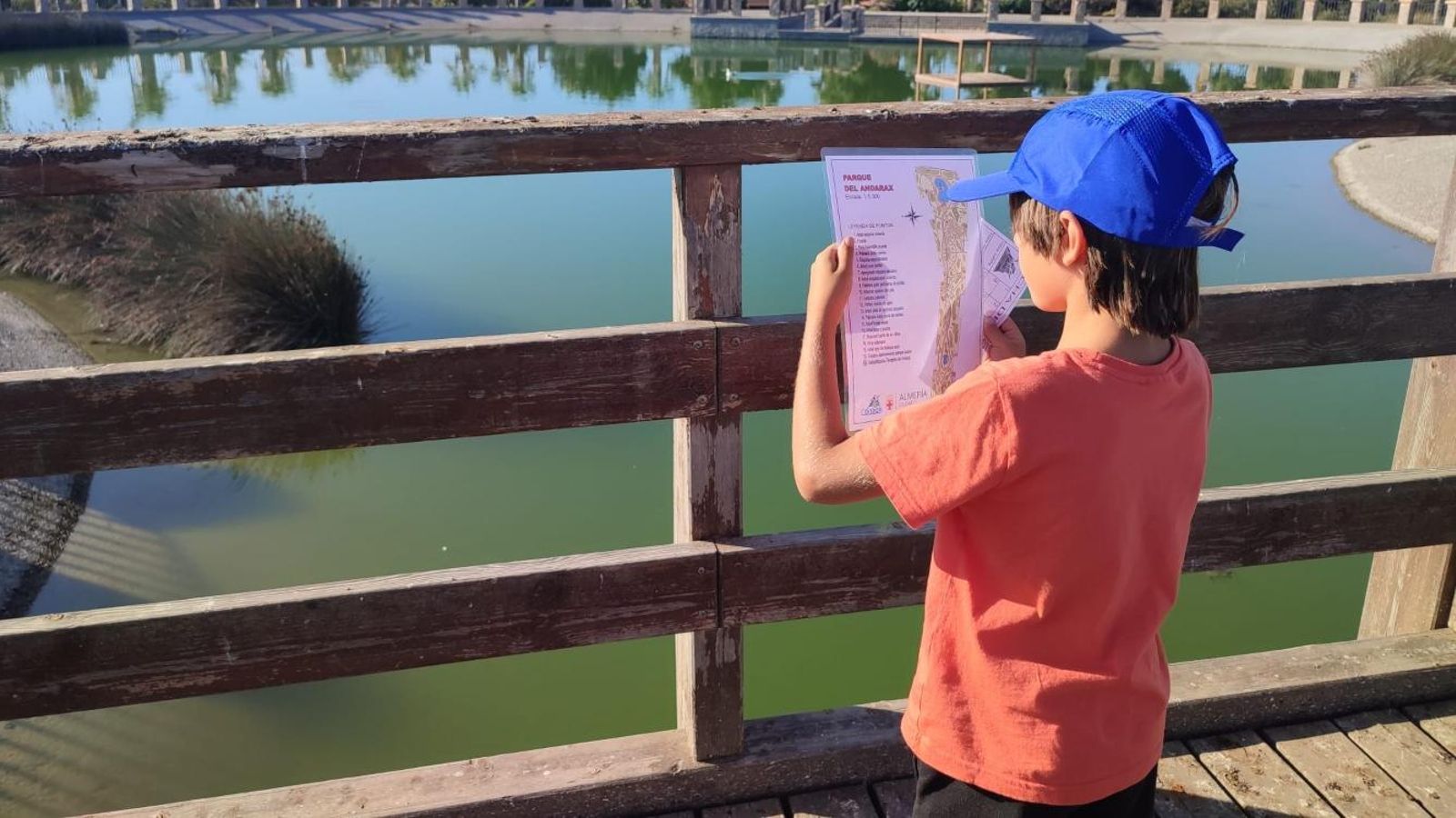 Los participantes recorrieron diferentes itinerarios localizando balizas estratégicamente situadas en el parque.