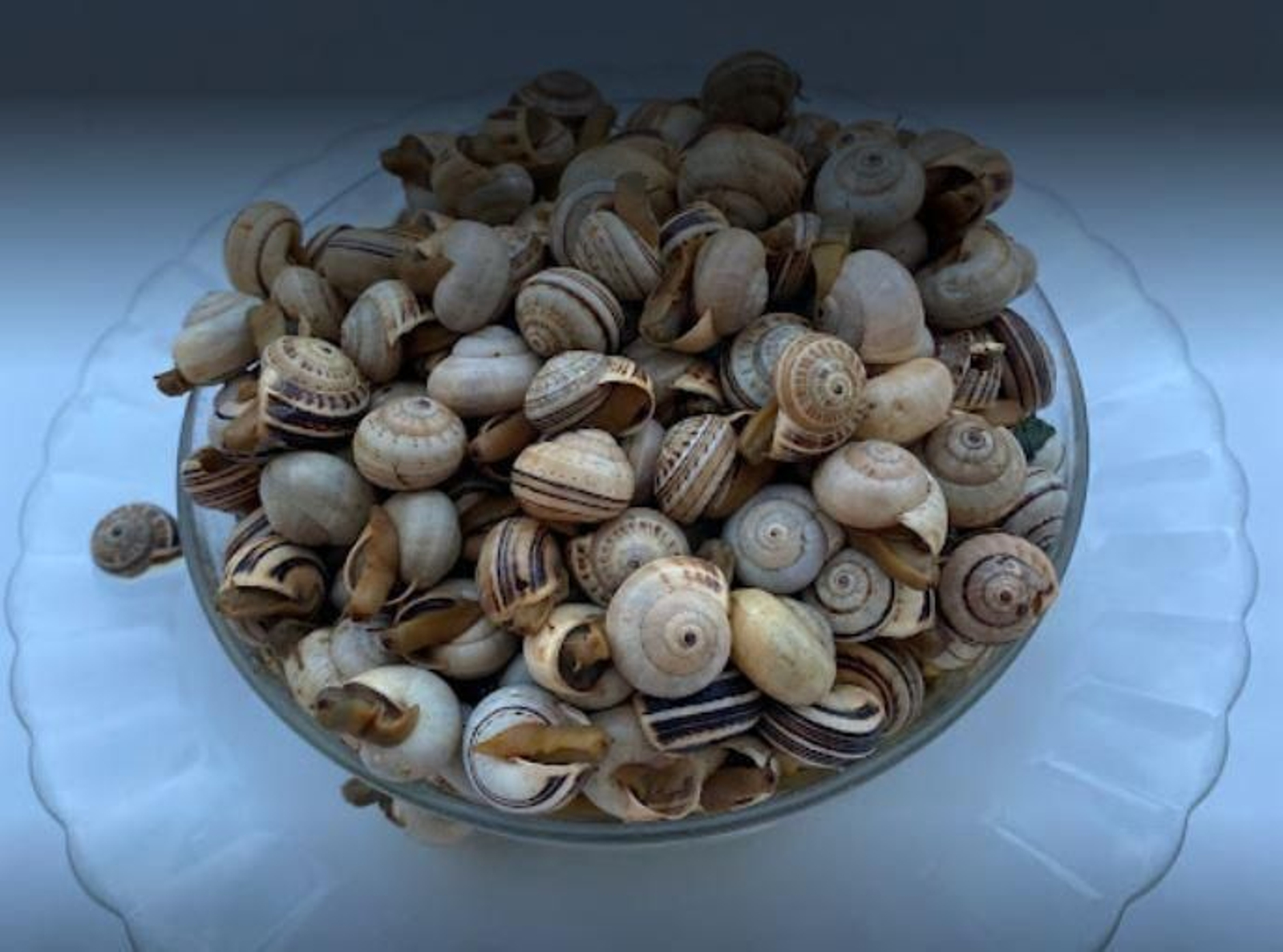 Bar La Perdiz (Huelva)