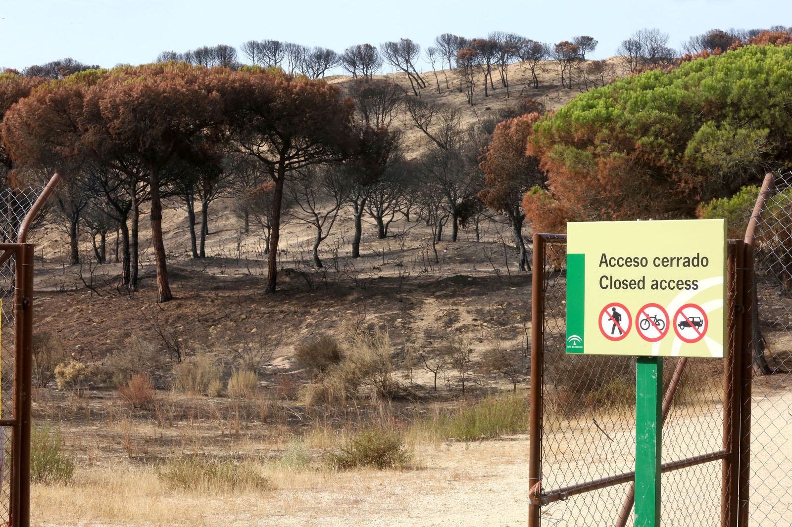 El Camping Doñana y la Cuesta Maneli están cerrados temporalmente.