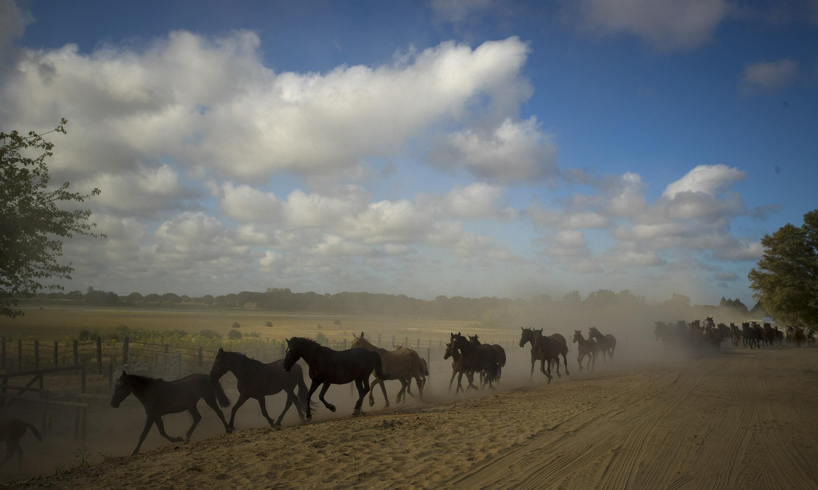 La Saca de las Yeguas, en imágenes