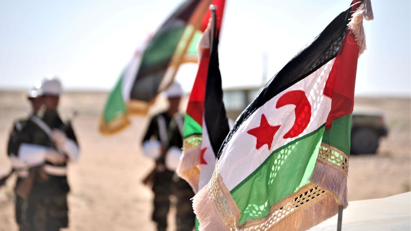 Banderas del Frente Polisario.