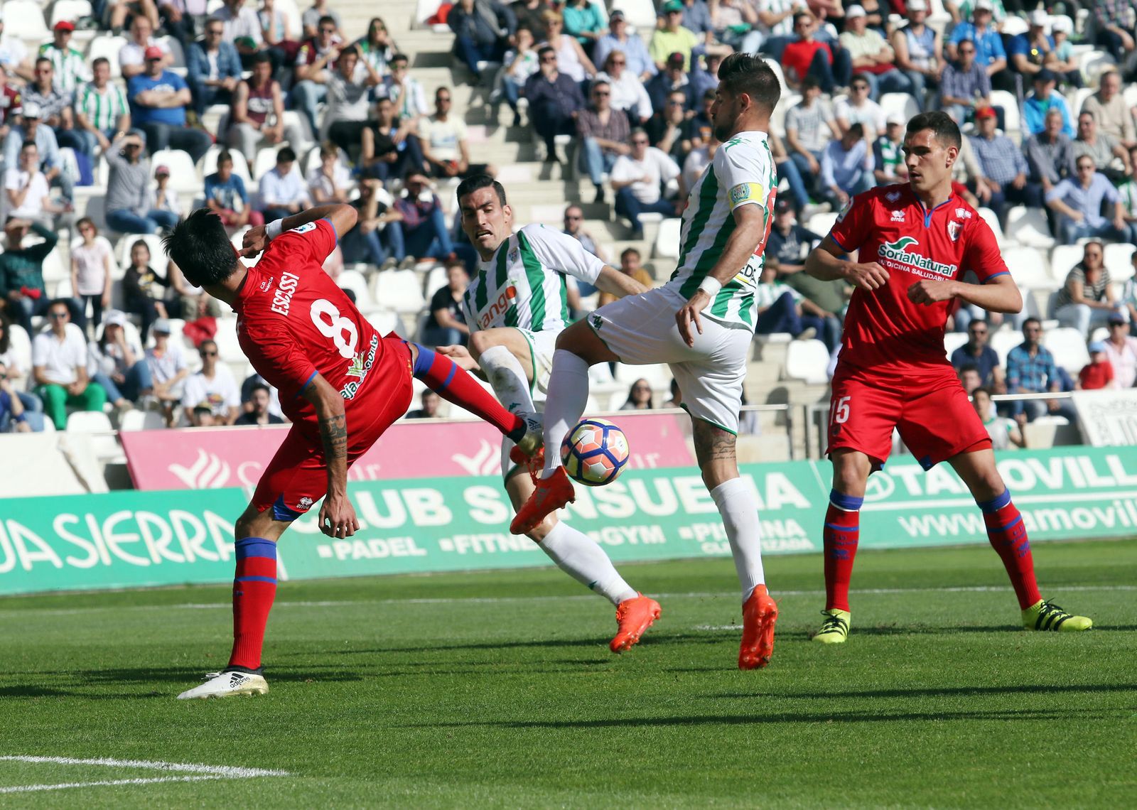 El Córdoba CF-Numancia, en imágenes