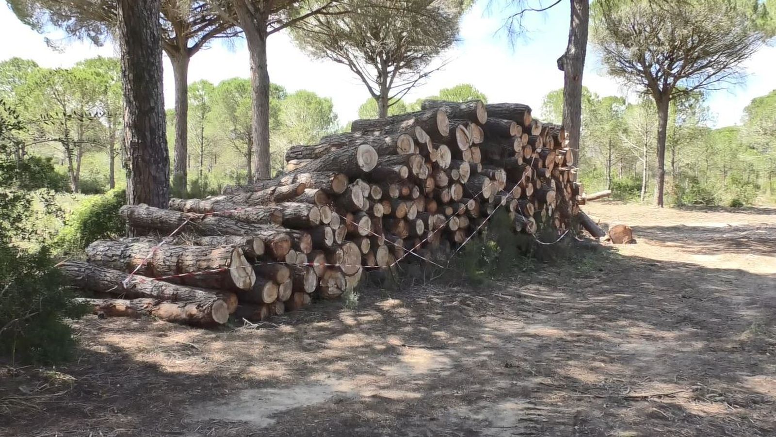 Trabajos que la Agencia de Medio Ambiente realiza en la Dehesa de las Yeguas