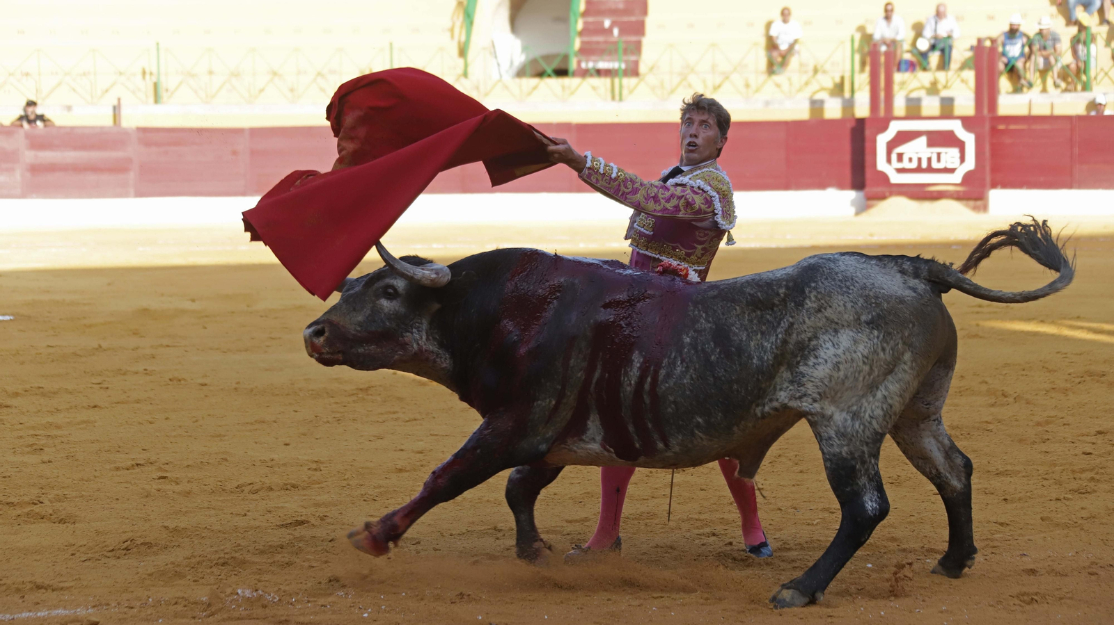 Fotos de la corrida del viernes de la Feria de La Línea: Curro Díaz, Manuel Escribano y David Galván