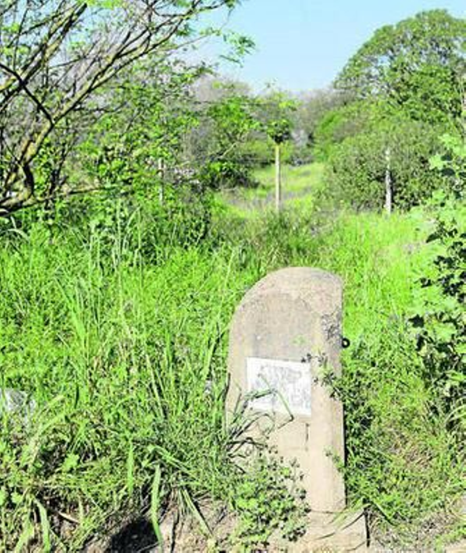 Antigua entrada a la finca Majaloba.