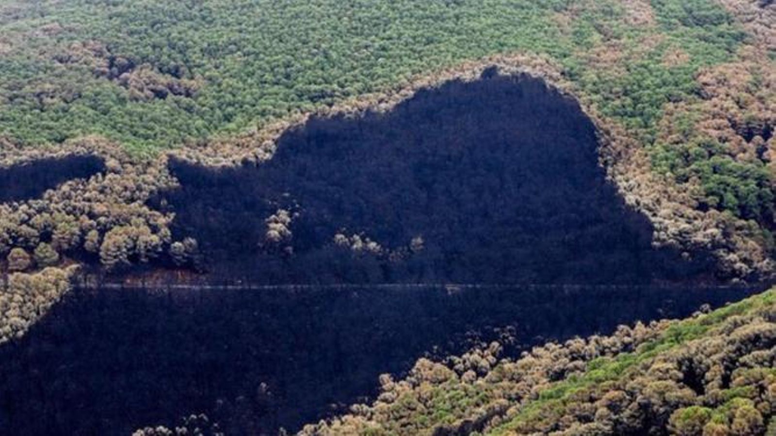 Zonas quemadas por el fuego en Sierra Bermeja Zonas quemadas por el fuego en Sierra Bermeja