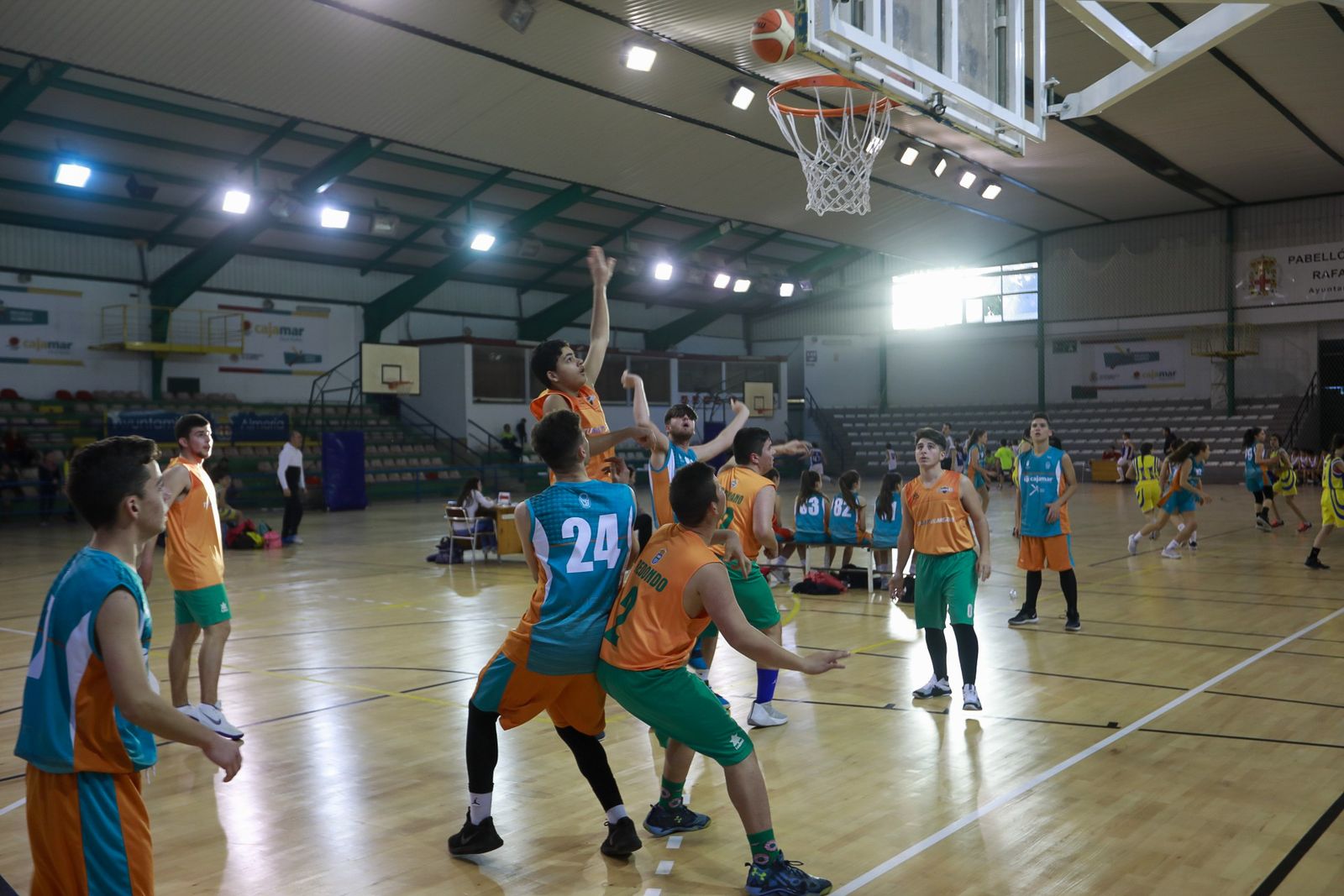 Protocolo aprobado por el CSD para el deporte federado