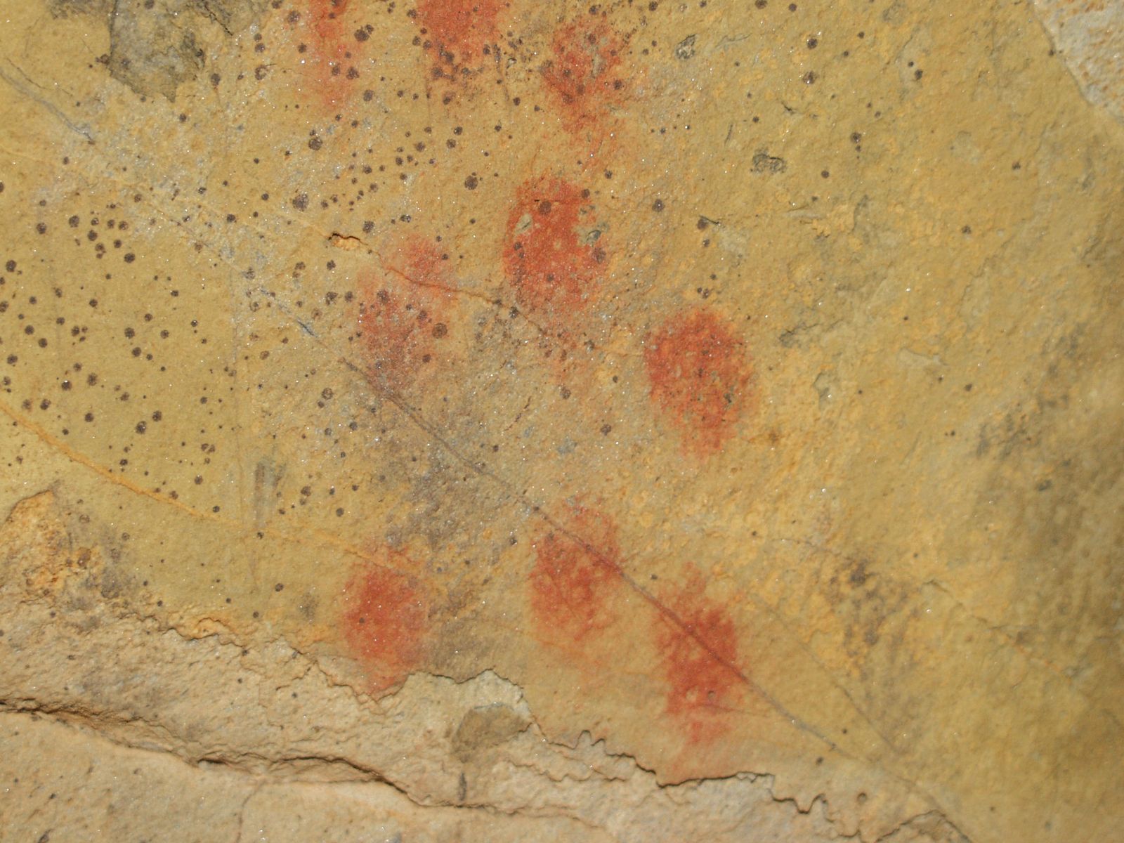 Signos rojos realizados con las yemas de los dedos en la cueva de Ardales.