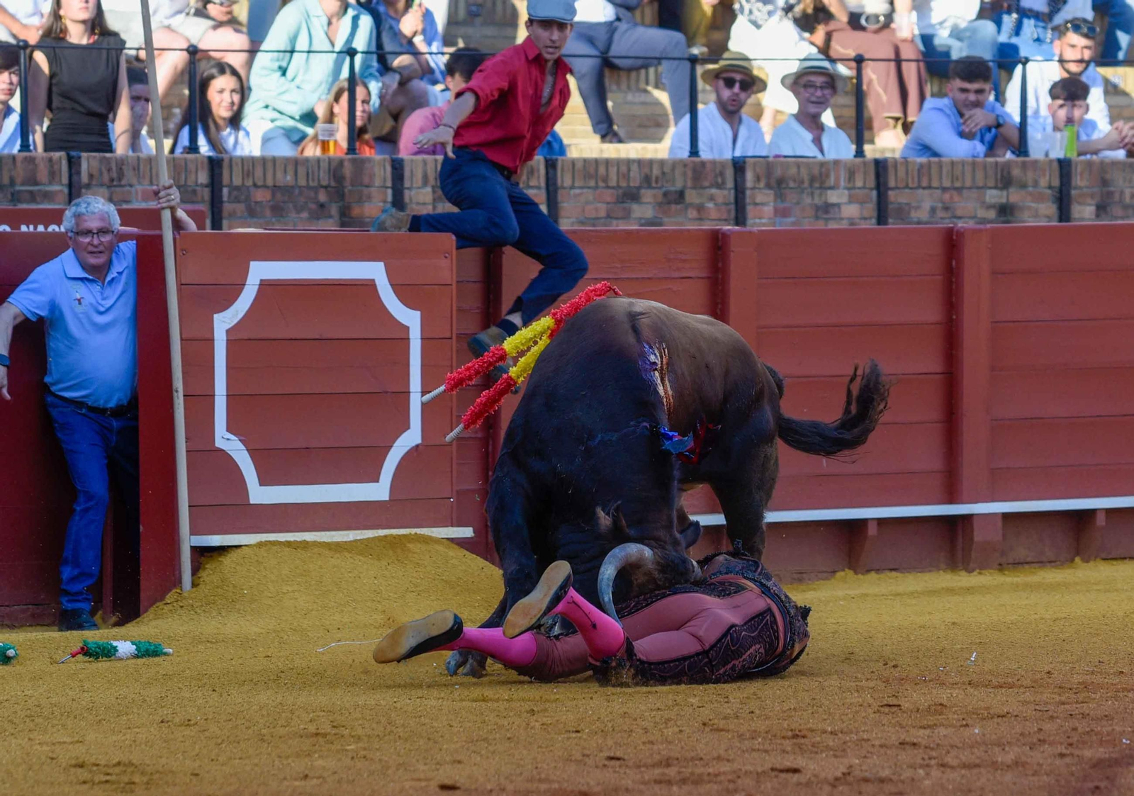 Final de la sexta edición del Circuito de Novilladas de Andalucía