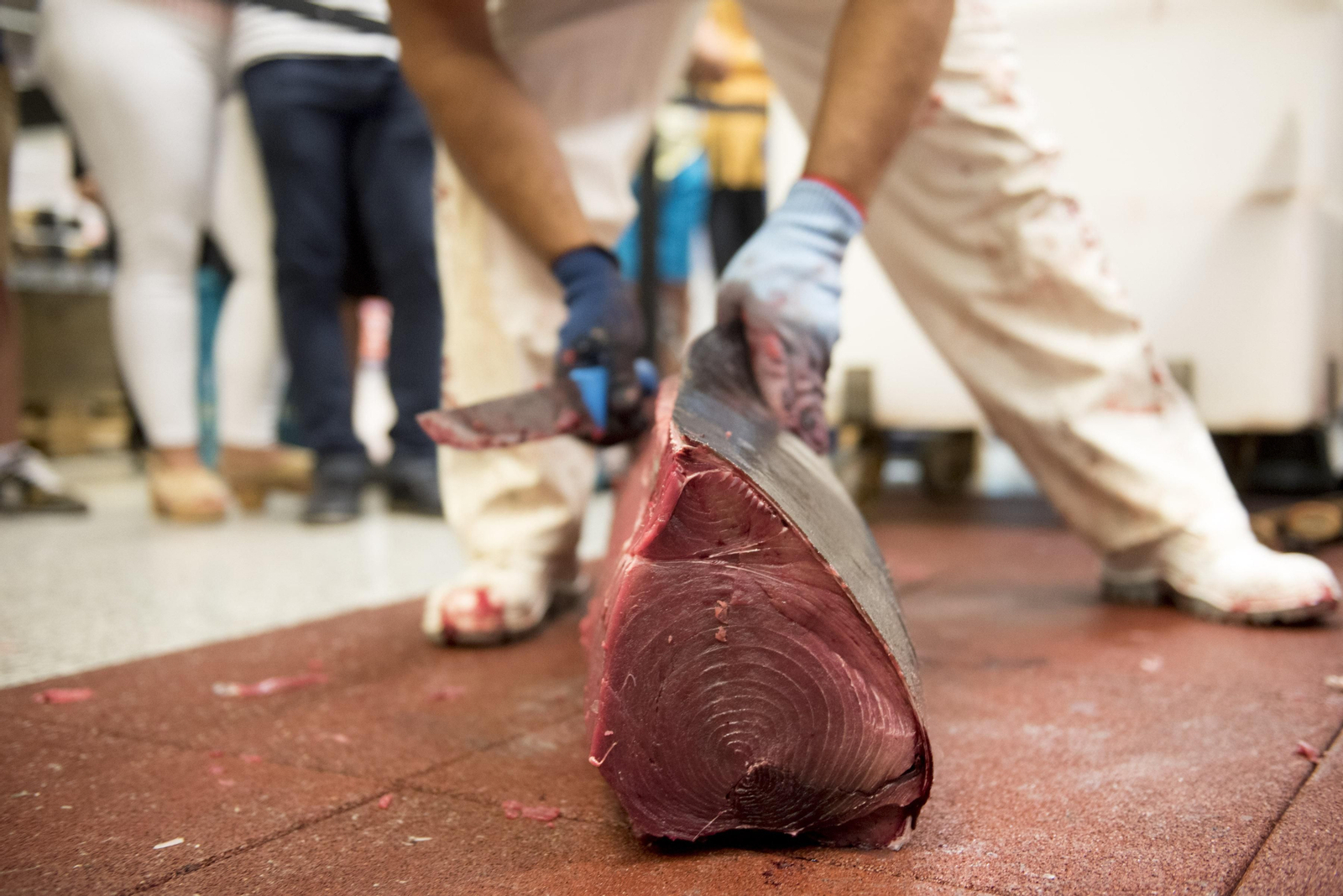 Imagen de archivo de un ronqueo