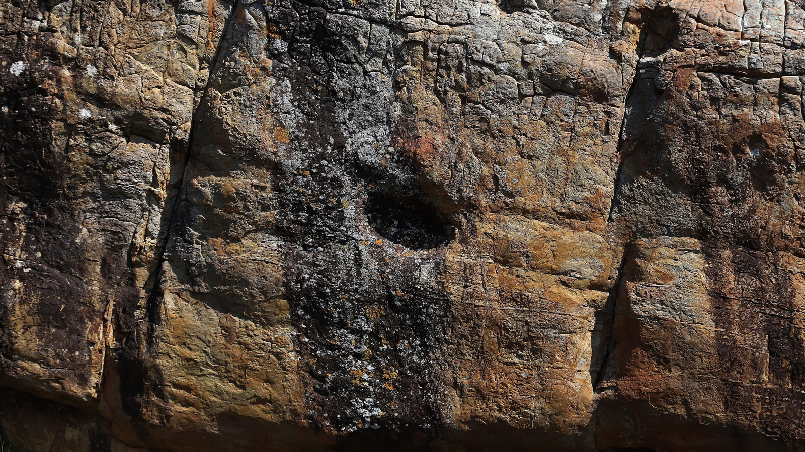 Fotos del sendero del Canuto del Arca en Tarifa