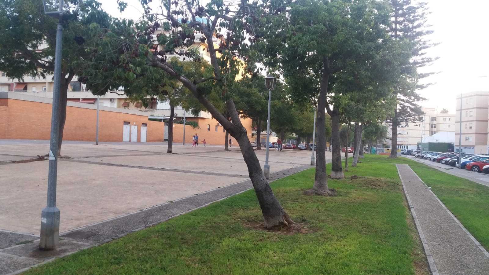 Uno de los lugares donde se van a eliminar árboles en mal estado cuya caída puede suponer un riesgo.