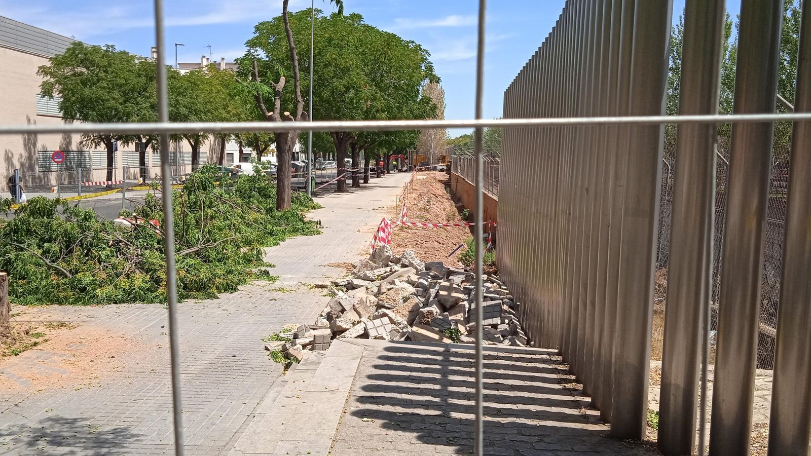 Reciente tala en la calle Pedroche.