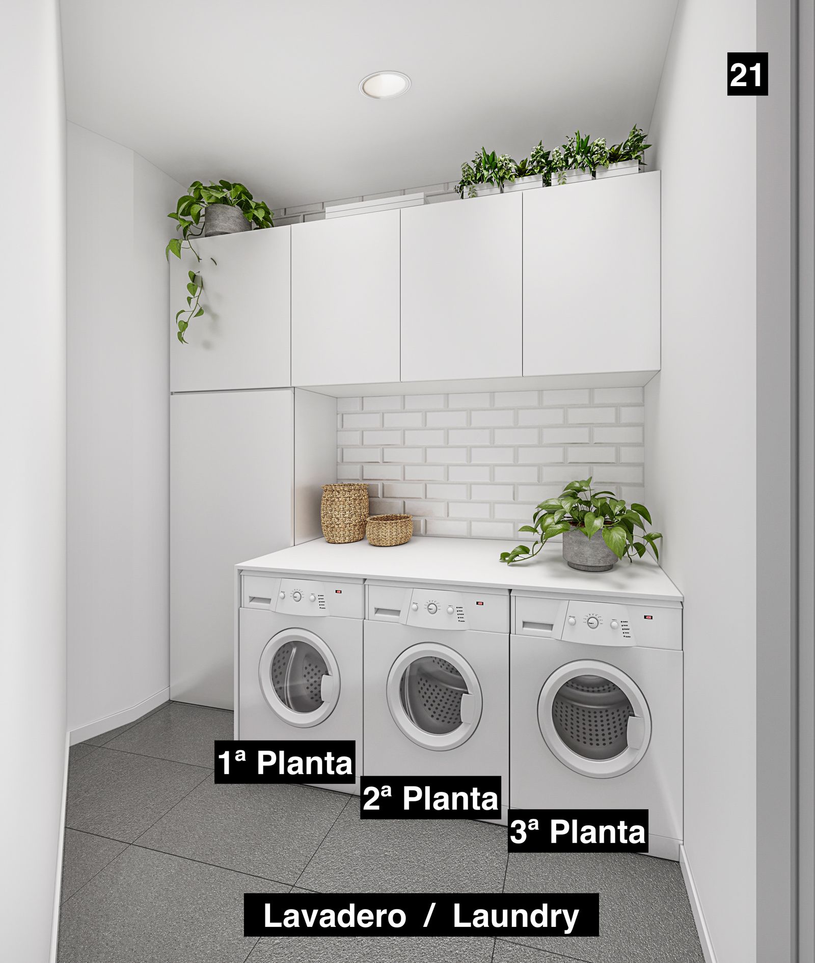 Lavadero proyectado en una promoción en la calle Santo Cristo en Cádiz