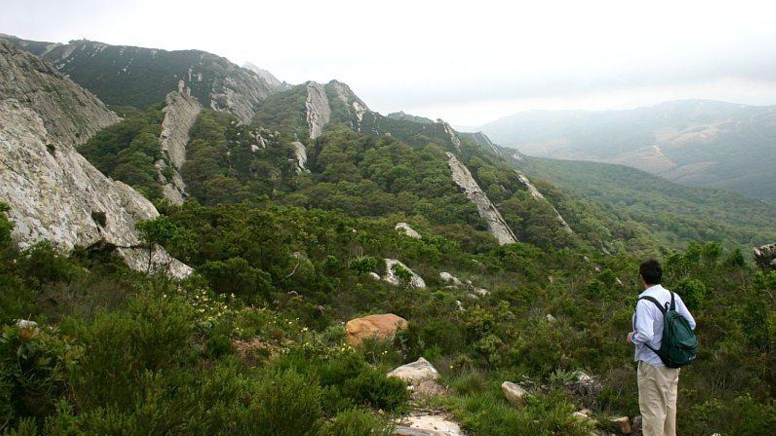 Herriza en el Campo de Gibraltar. Herriza en el Campo de Gibraltar.