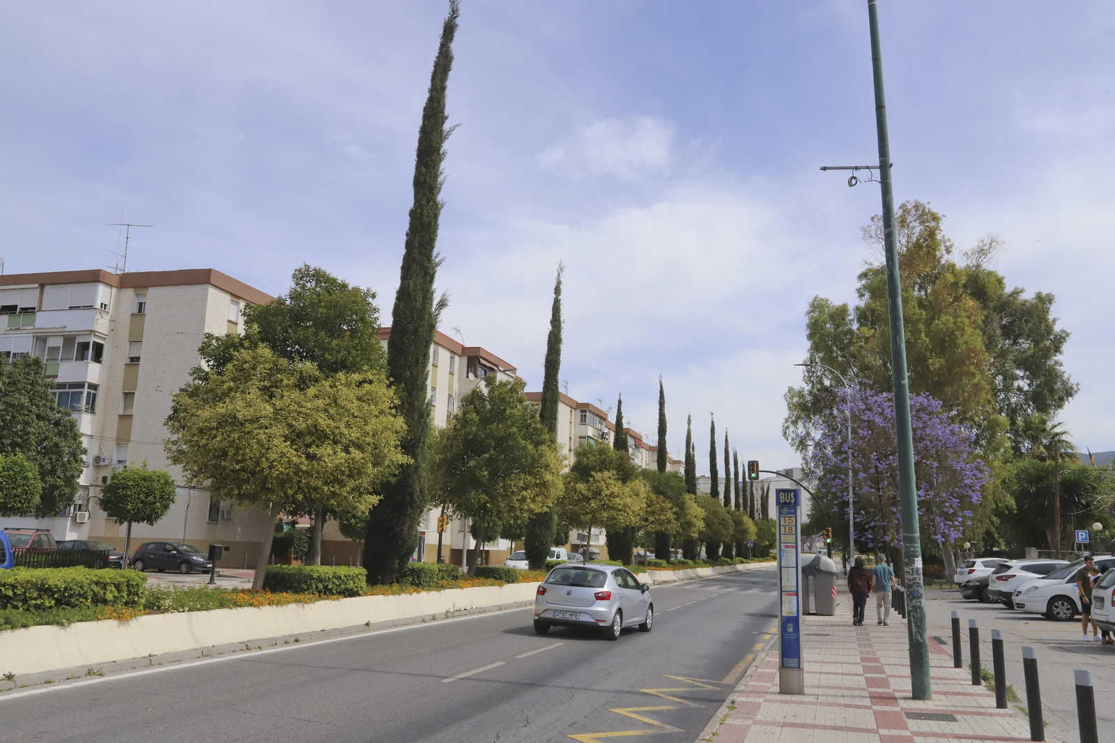 Las fotos del distrito Palma-Palmilla