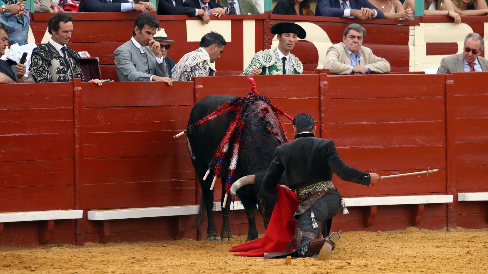 Toros en Jerez: El arte ecuestre