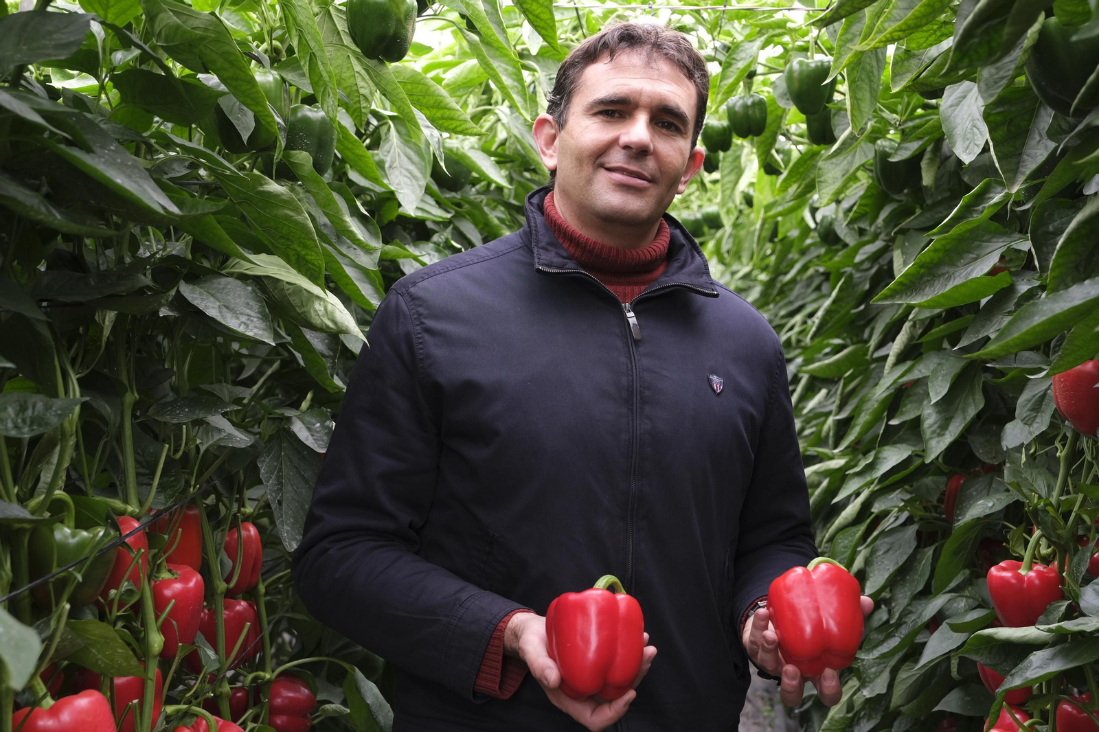 José Luis Márquez, técnico de desarrollo en Ramiro Arnedo con Broquel y Clipeo, los nuevos california resistentes a oídio