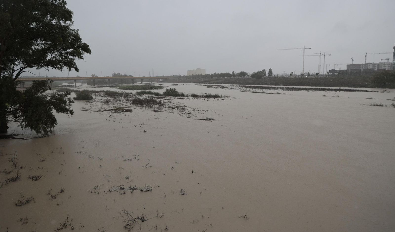 Las imágenes de la crecida del río Guadaíra a su paso por Sevilla