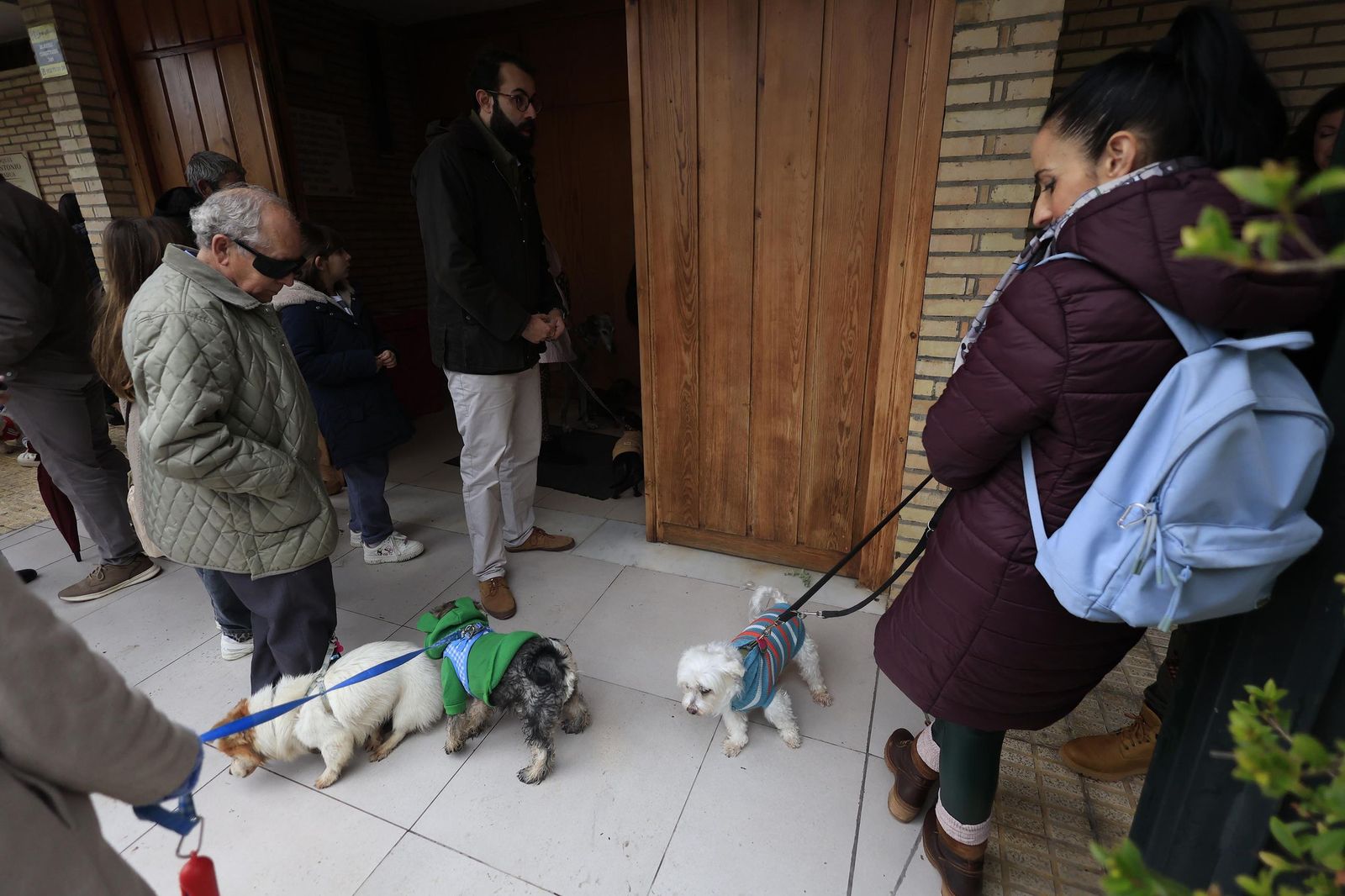 Las fotografías de la bendición de las mascotas por San Antón 2026