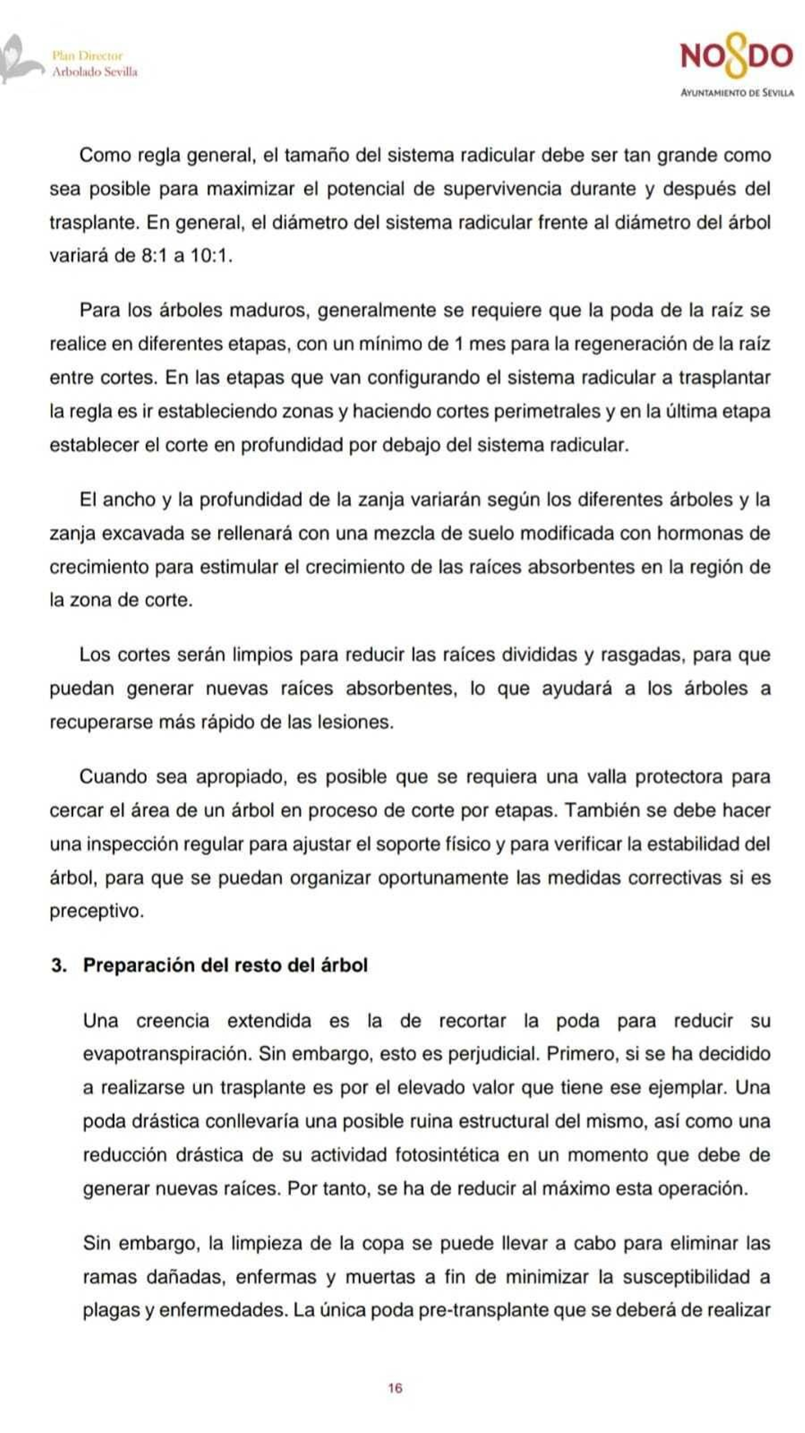 Lo que dice el Plan director de Arbolado sobre la poda drástica en trasplante.