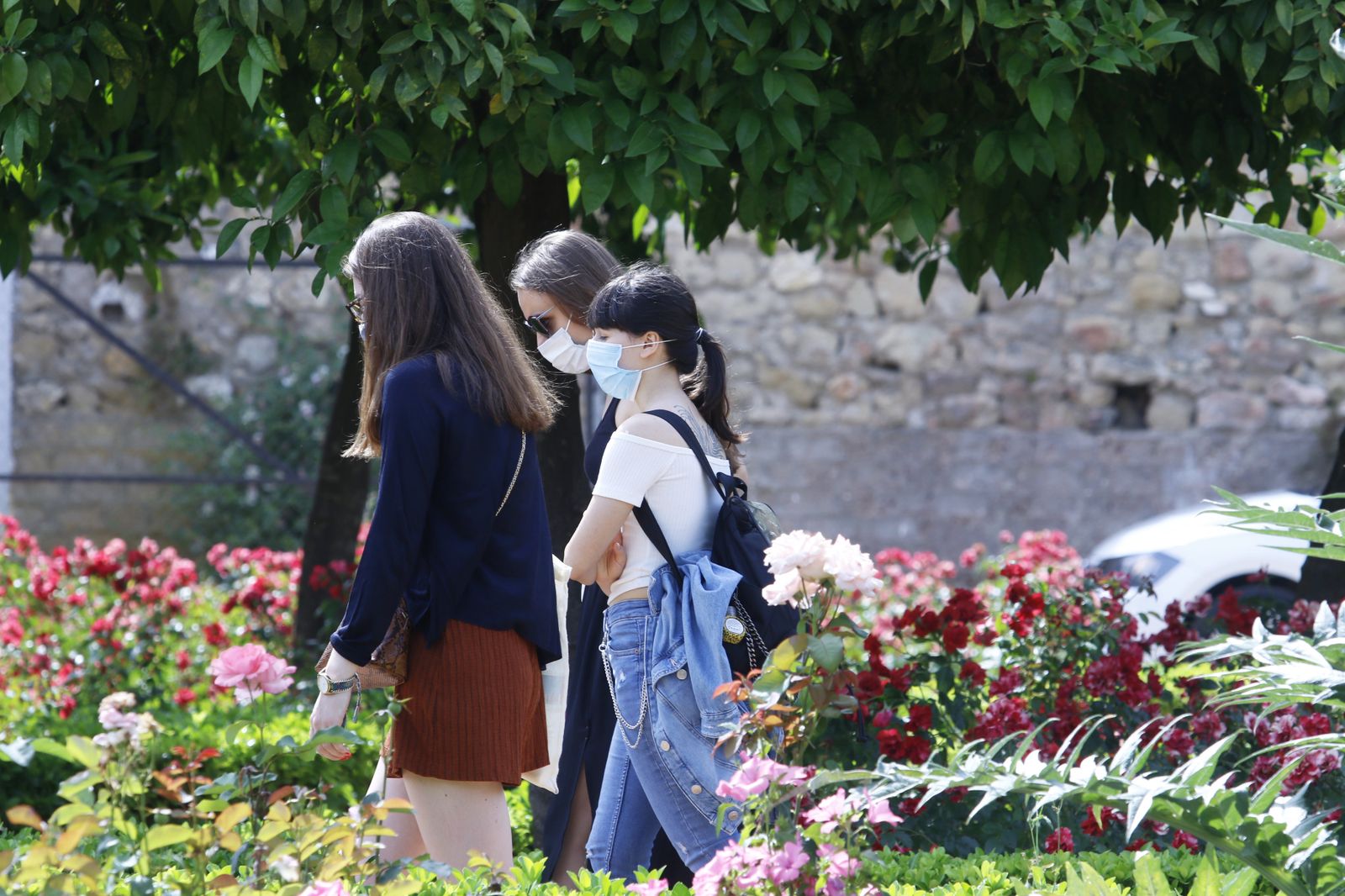 Las fotografías de la reapertura al público del Alcázar
