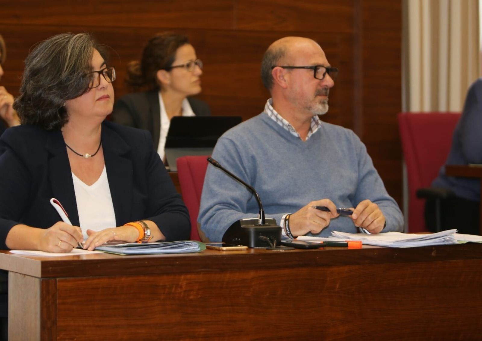 El portavoz de la formación naranja, José Ángel Quintana, durante una sesión plenaria.