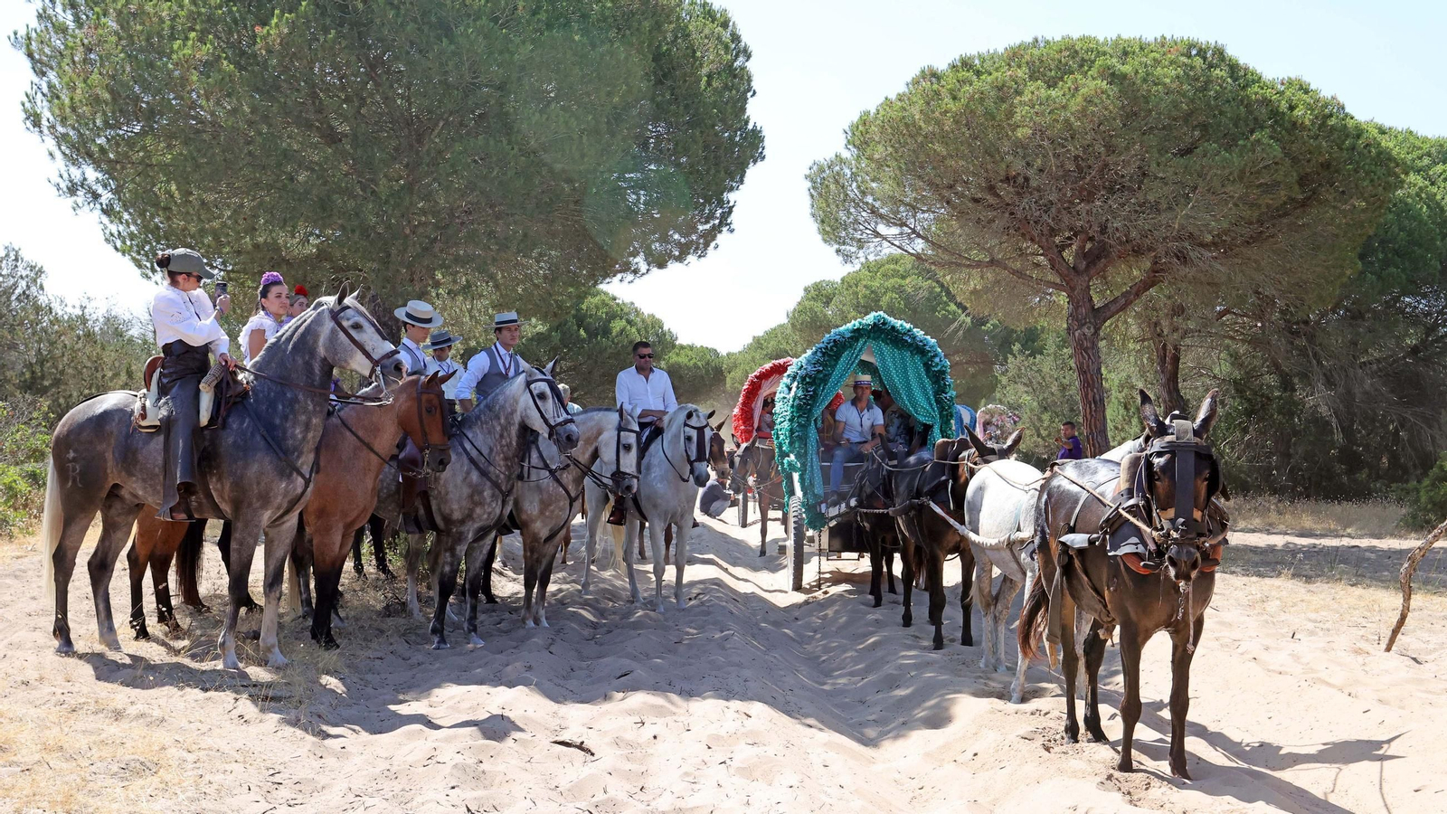 Jueves de camino de la Hdad de Jerez por el Coto Doñana
