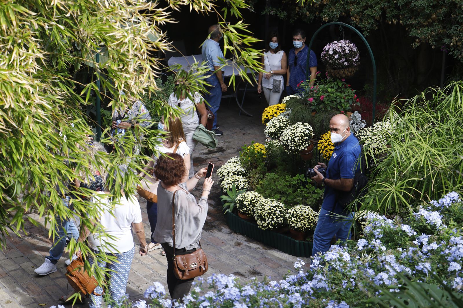 Un recorrido en fotografías por los Patios de Córdoba un domingo de otoño
