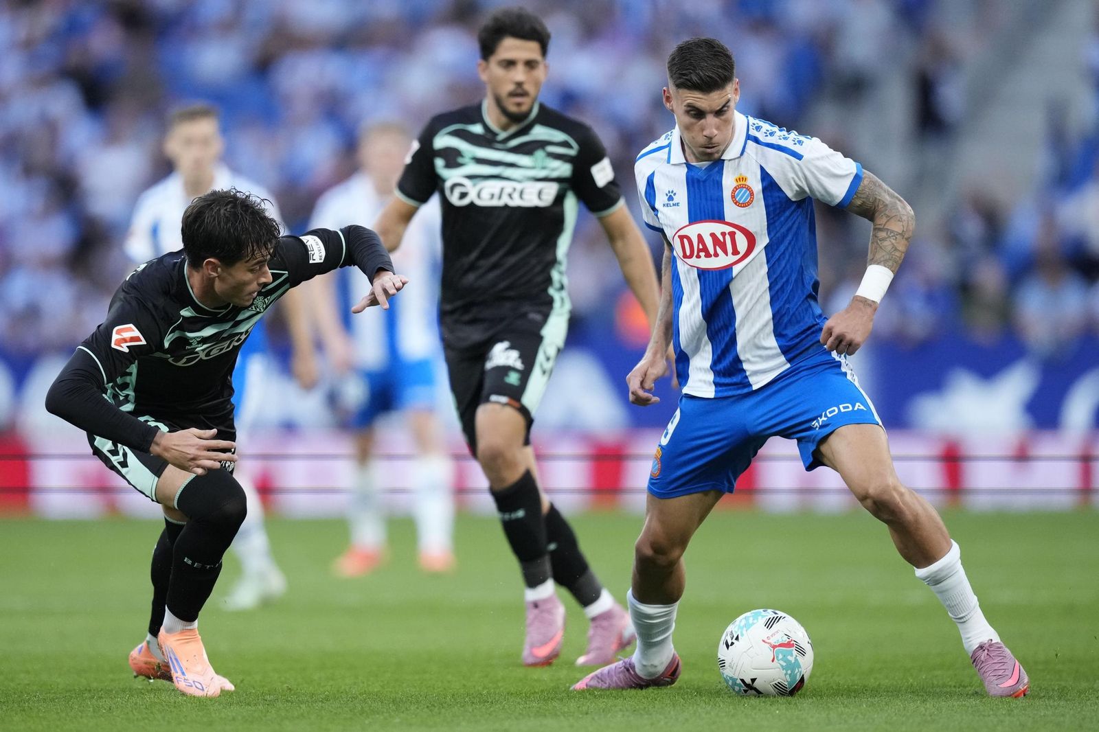 Las mejores fotos del Espanyol-Betis