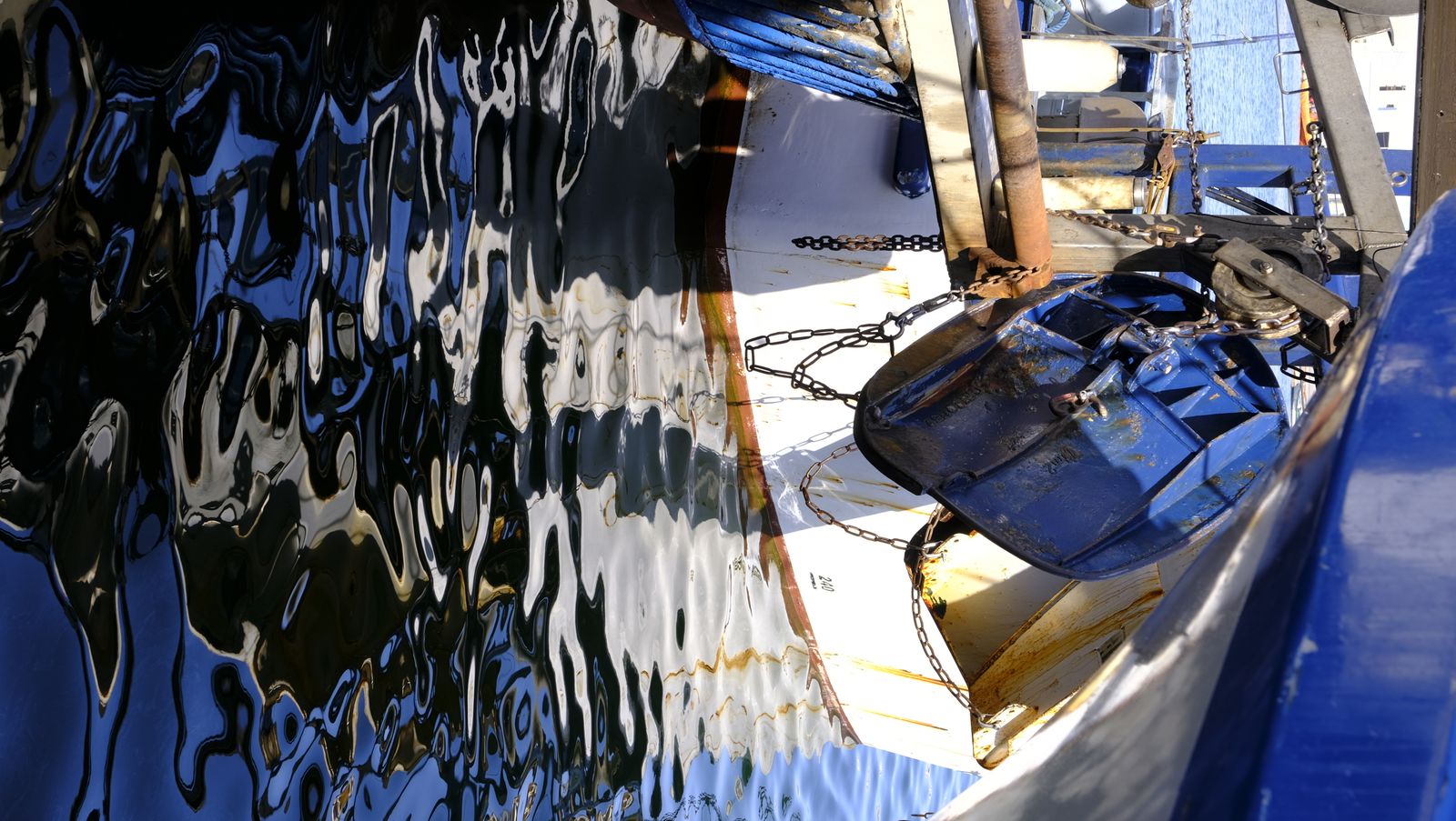 Imágenes de la visita guiada a la Lonja del Puerto Pesquero de Almería