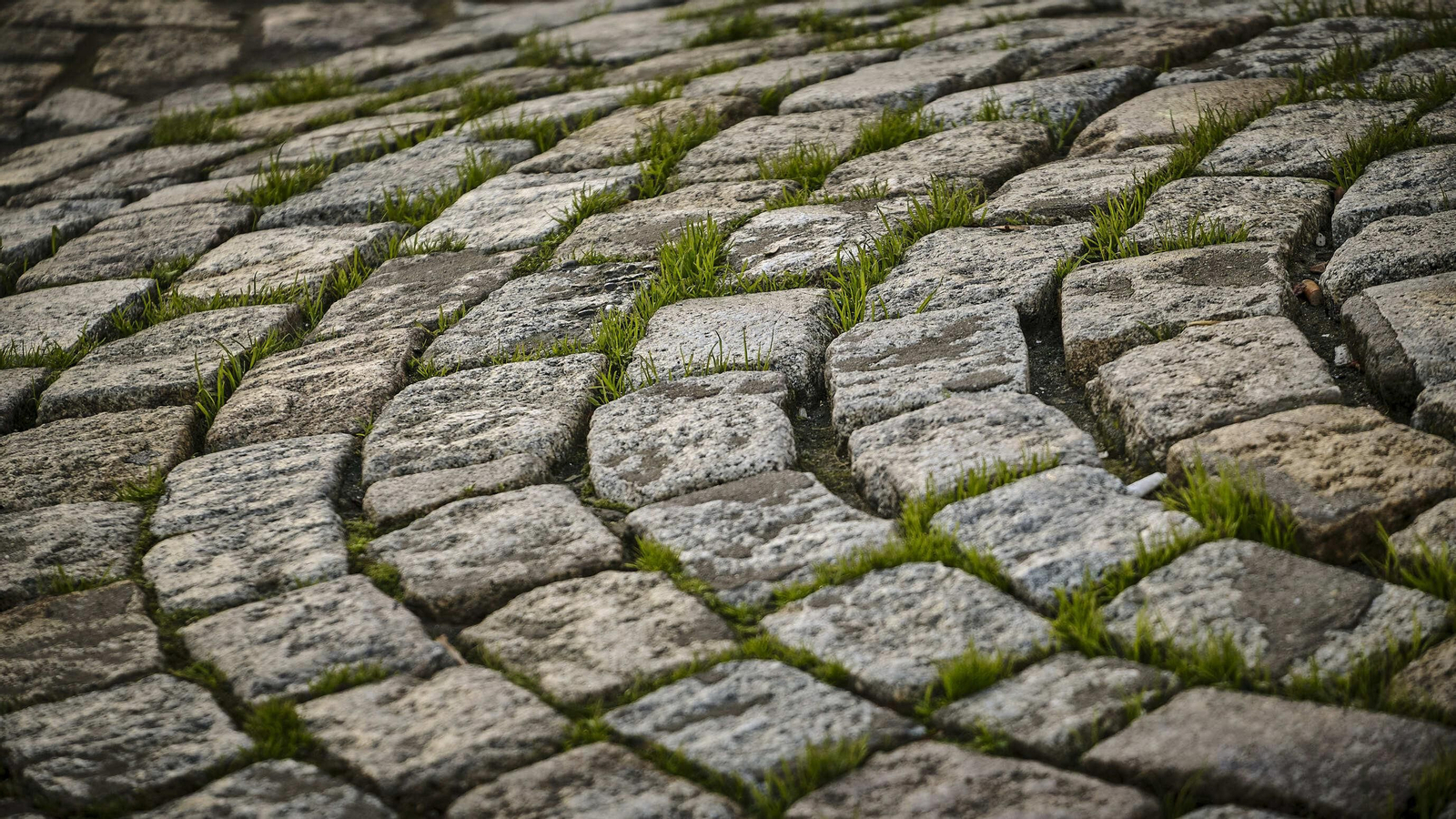 Estado del pavimento en plaza de la Catedral