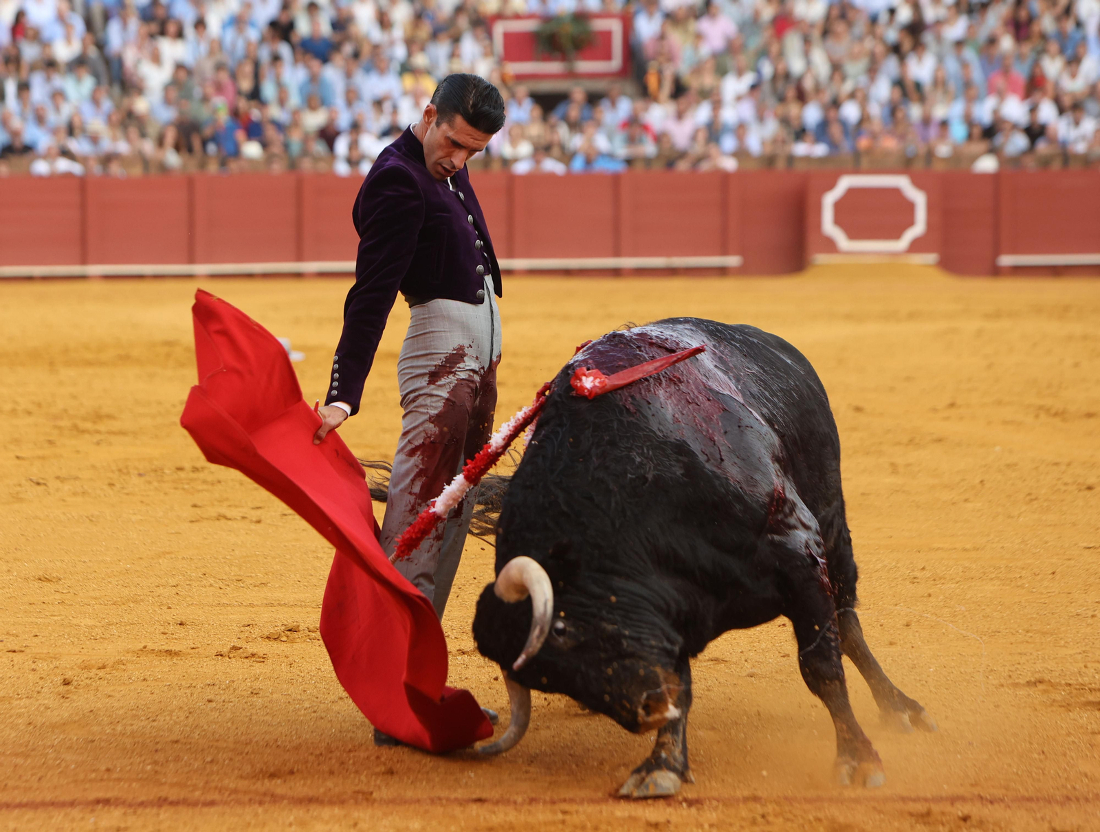 Fotos del Festival taurino a beneficio de l de la Hermandad del Rocío de Triana y de la Fundación Alalá