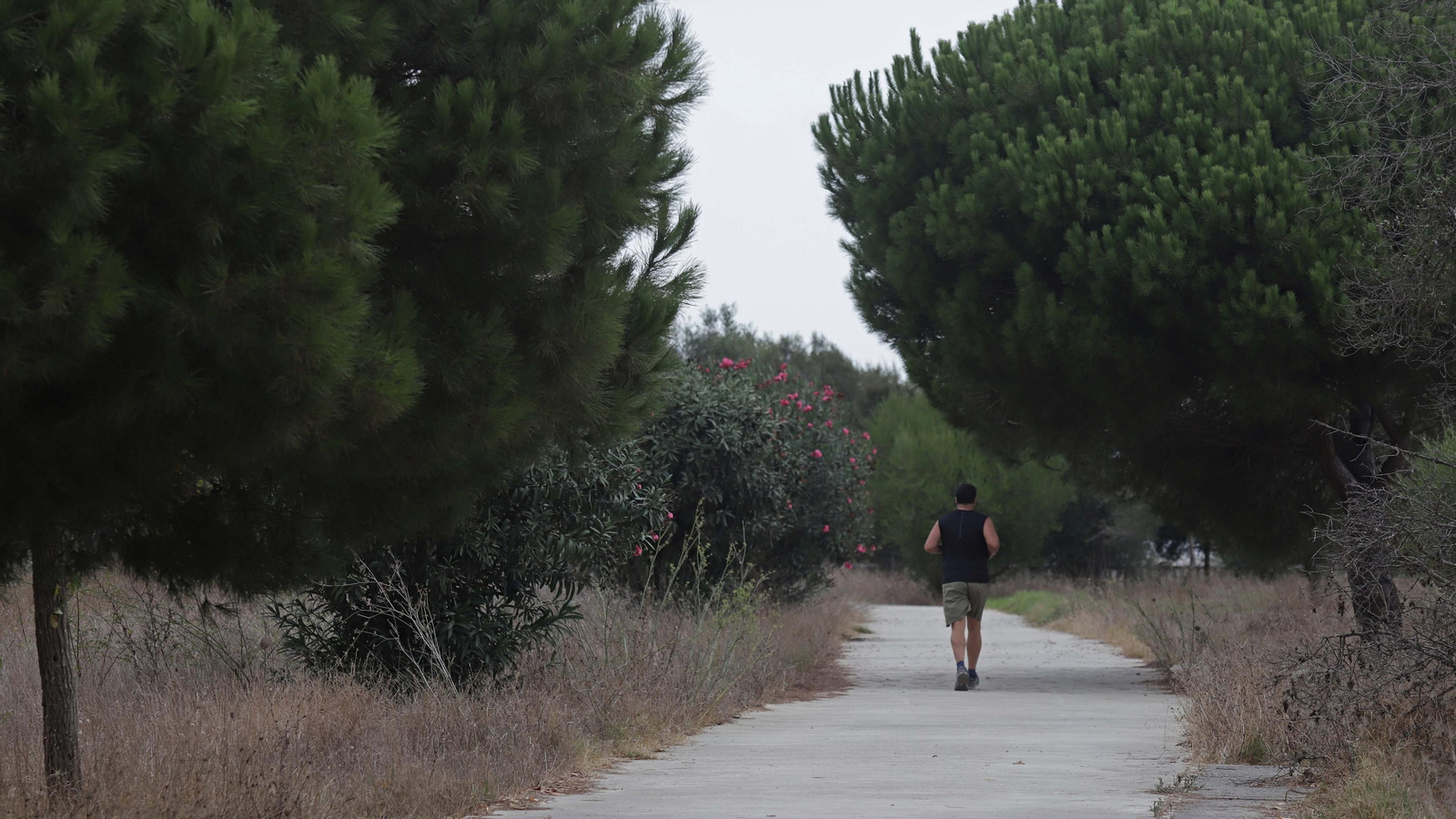 Fotos del parque del Torrejón en Algeciras
