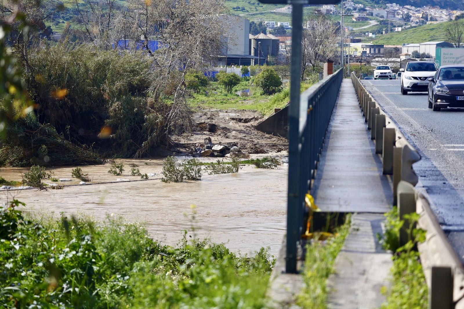 El río Guadalhorce bajando con fuerza a su paso con Cártama el pasado domingo.