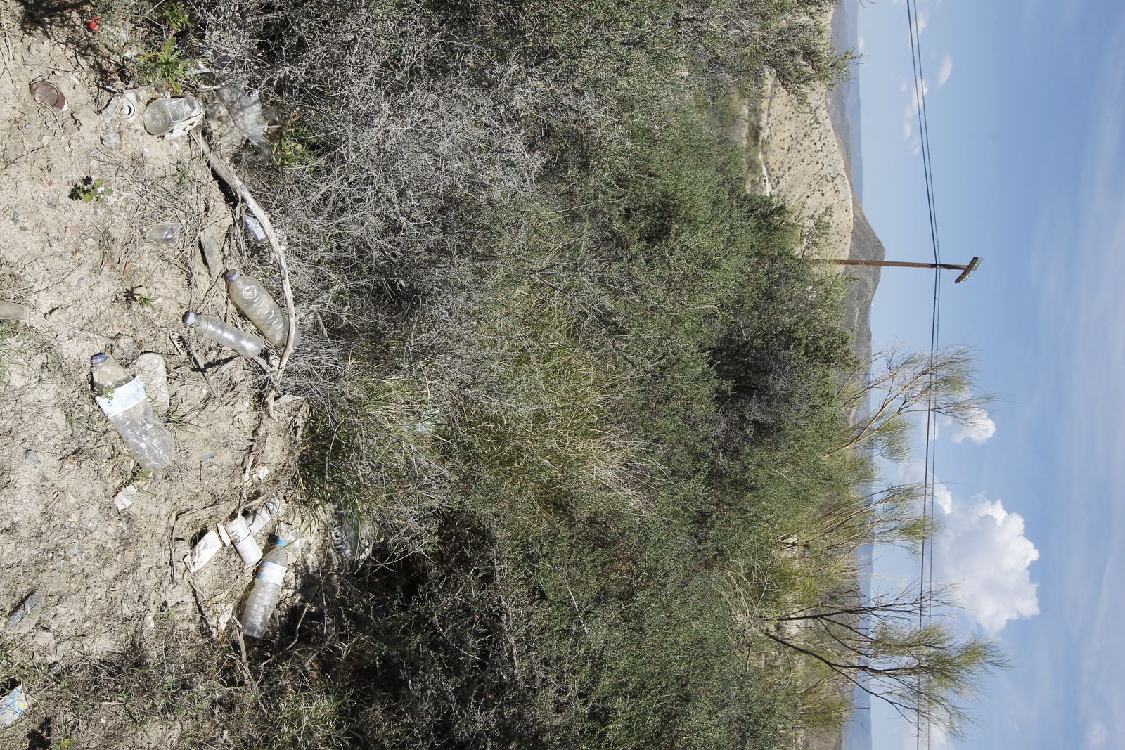 Fotogalería basura en el Desierto de Tabernas