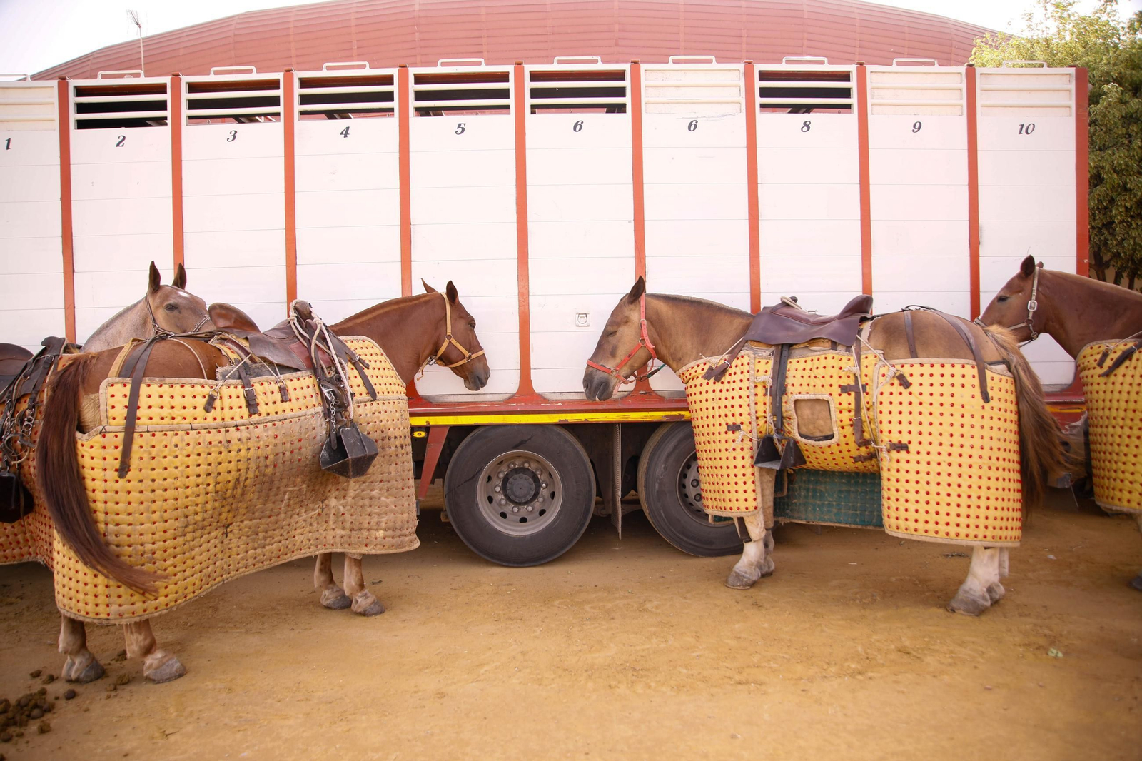 Imágenes de la corrida de toros en Roquetas de Mar