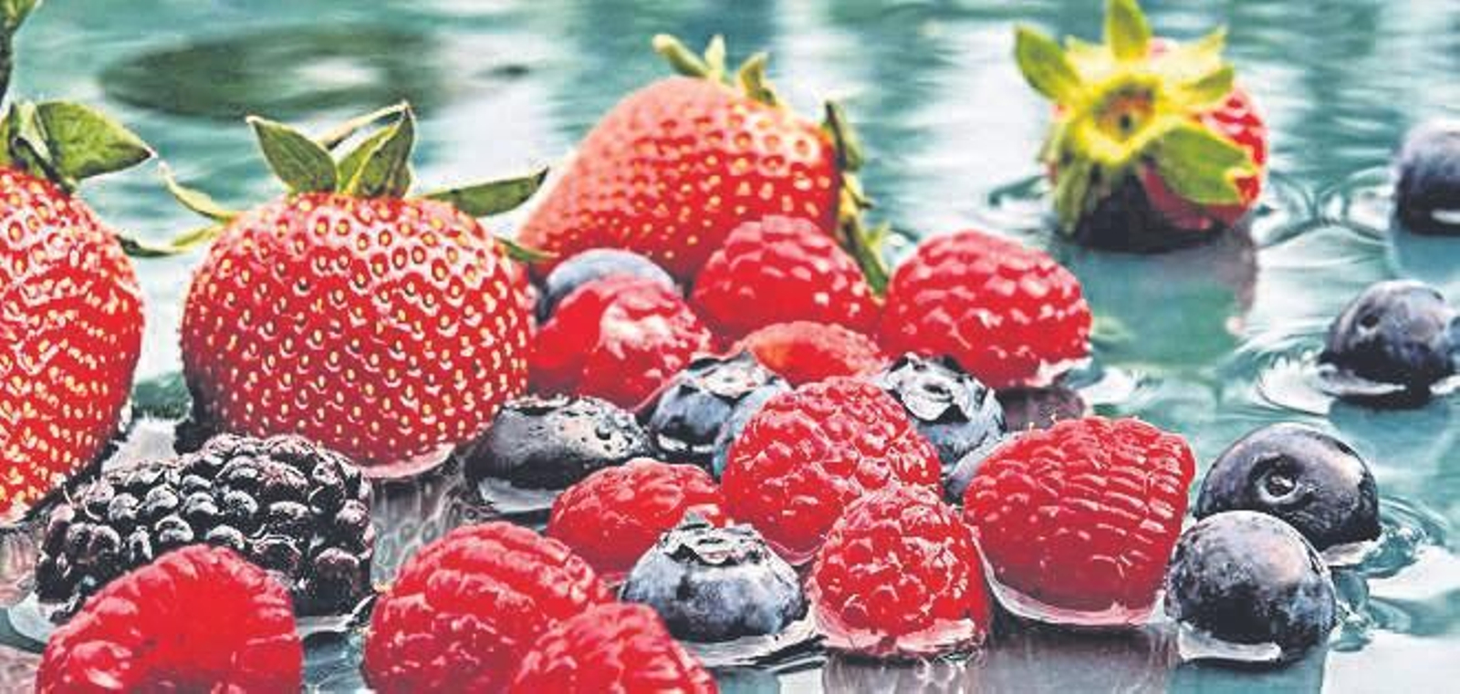 La CR Palos, una garantía para defender los frutos rojos y amortiguar la sequía