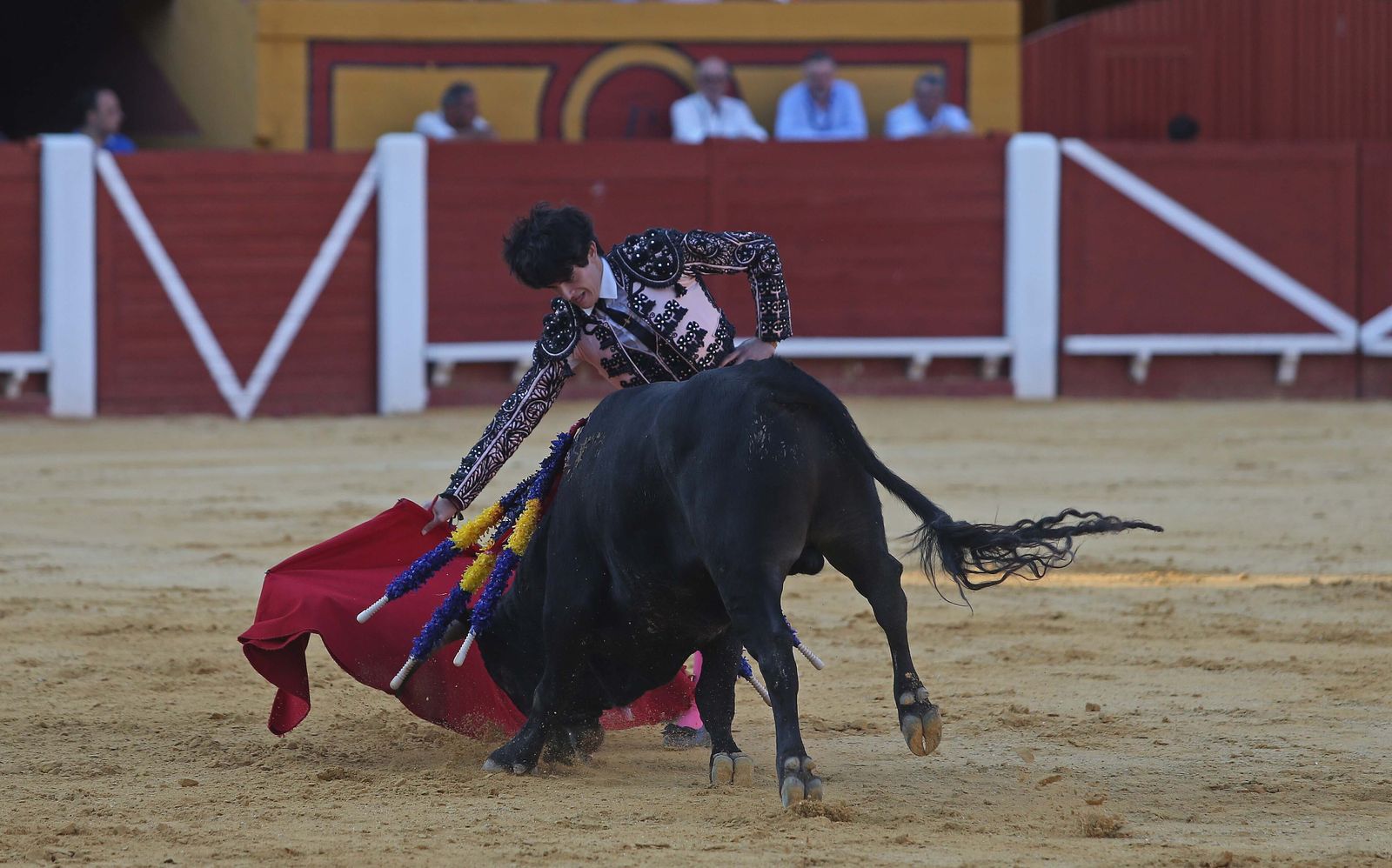La novillada de Miguelín que abre la feria de Algeciras, en imágenes