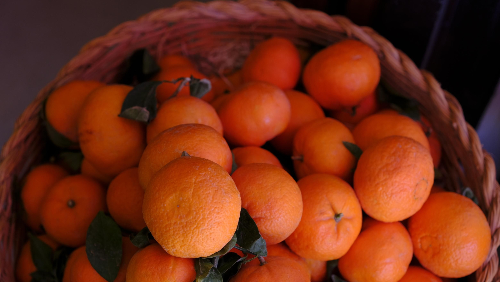 Cuatro fruterías de Almería con sabor a huerto