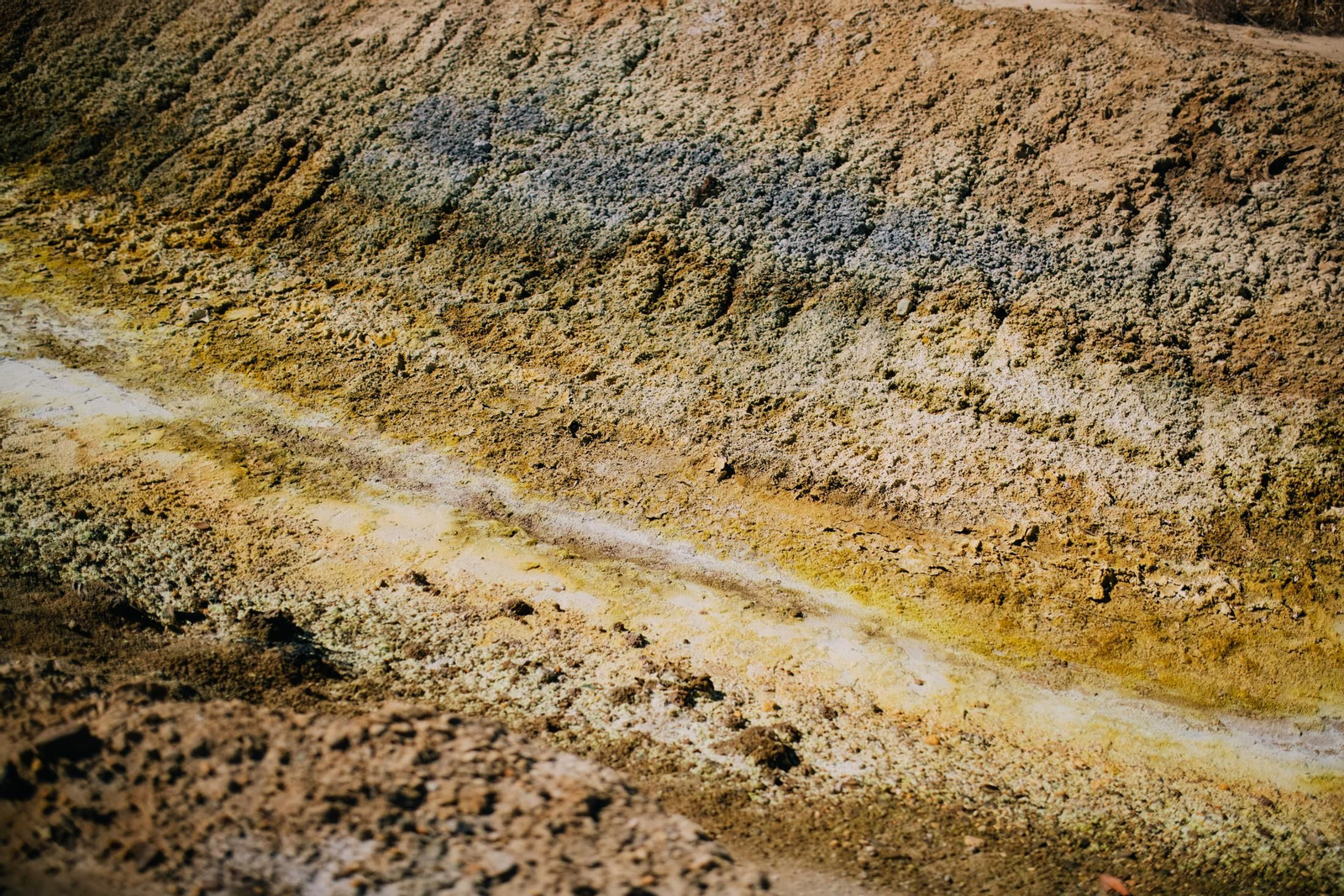 Un recorrido fotográfico por el Paraje Natural Marismas del Odiel