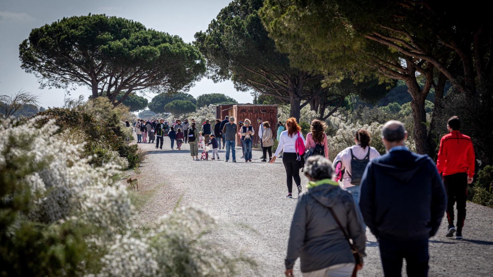 Uno de los talleres medioambientales en la edición anterior en Los Toruños