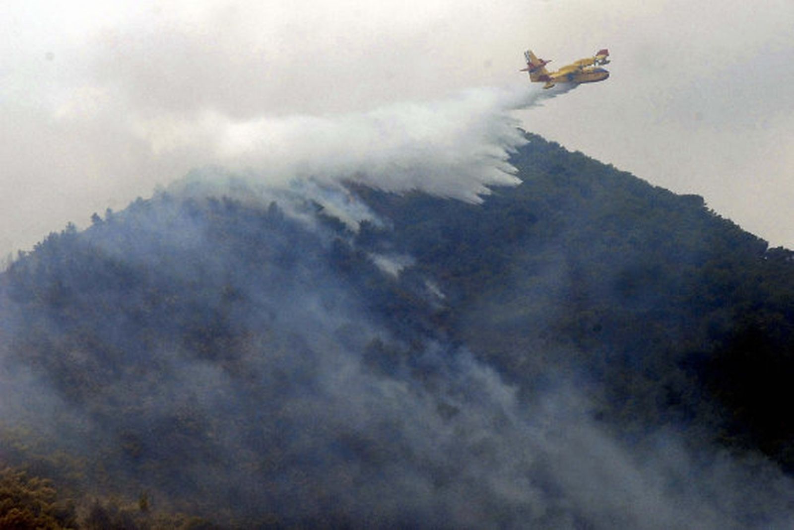 El incendio de Murcia fue intencionado