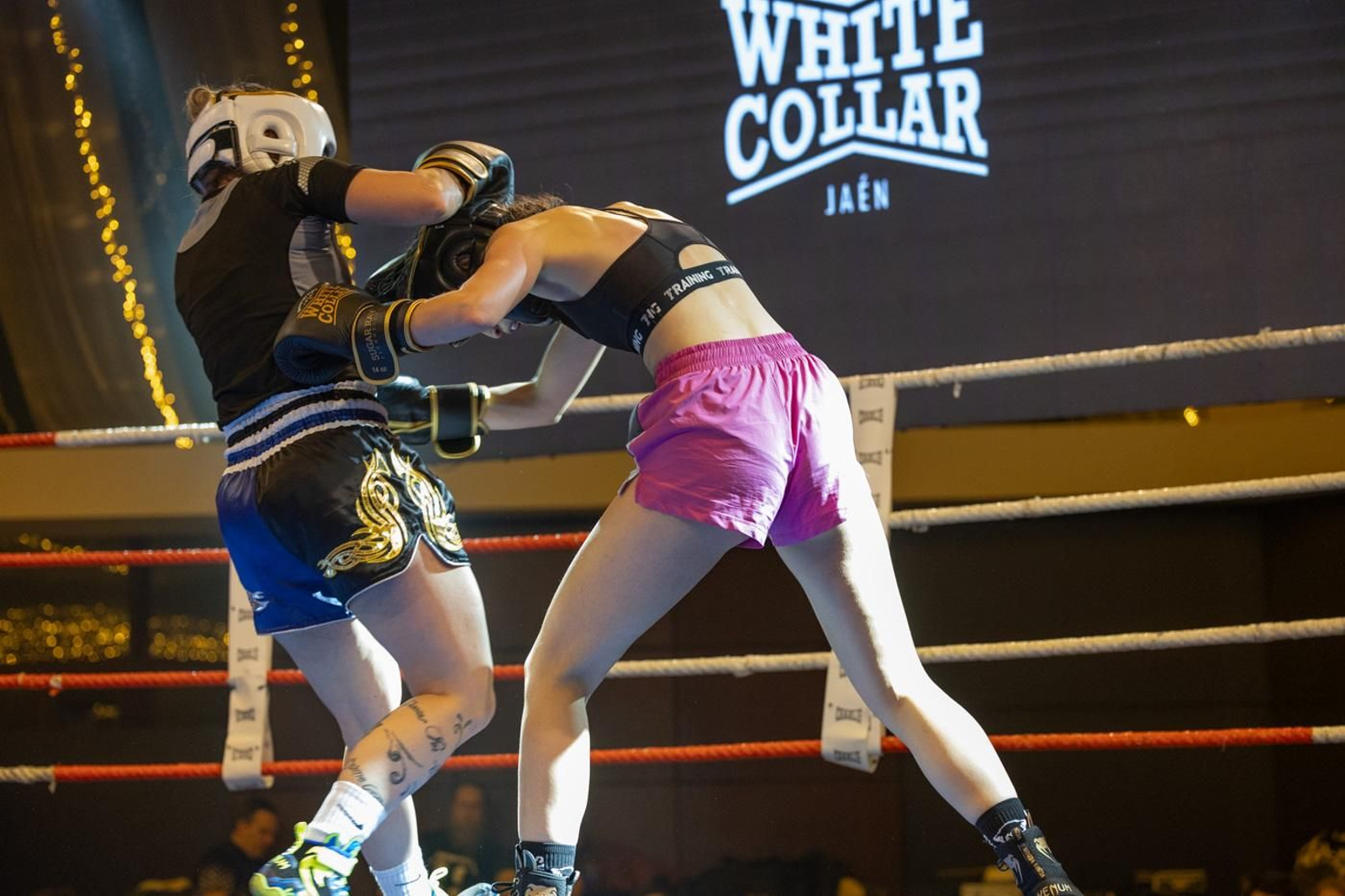 El boxeo solidario de la VI velada White Collar Boxing cautiva al público de Jaén