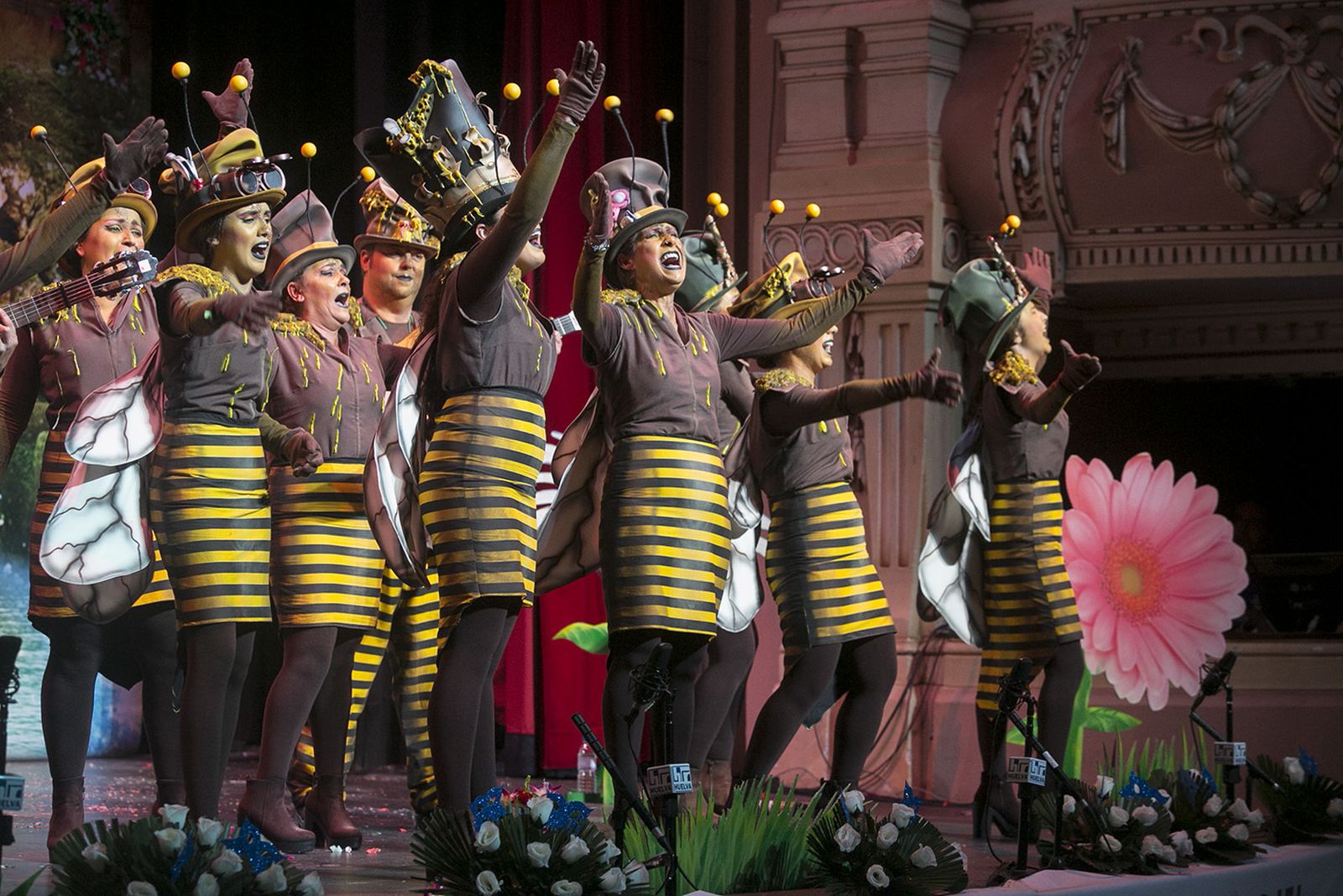 Las imágenes de la octava preliminar del Carnaval Colombino